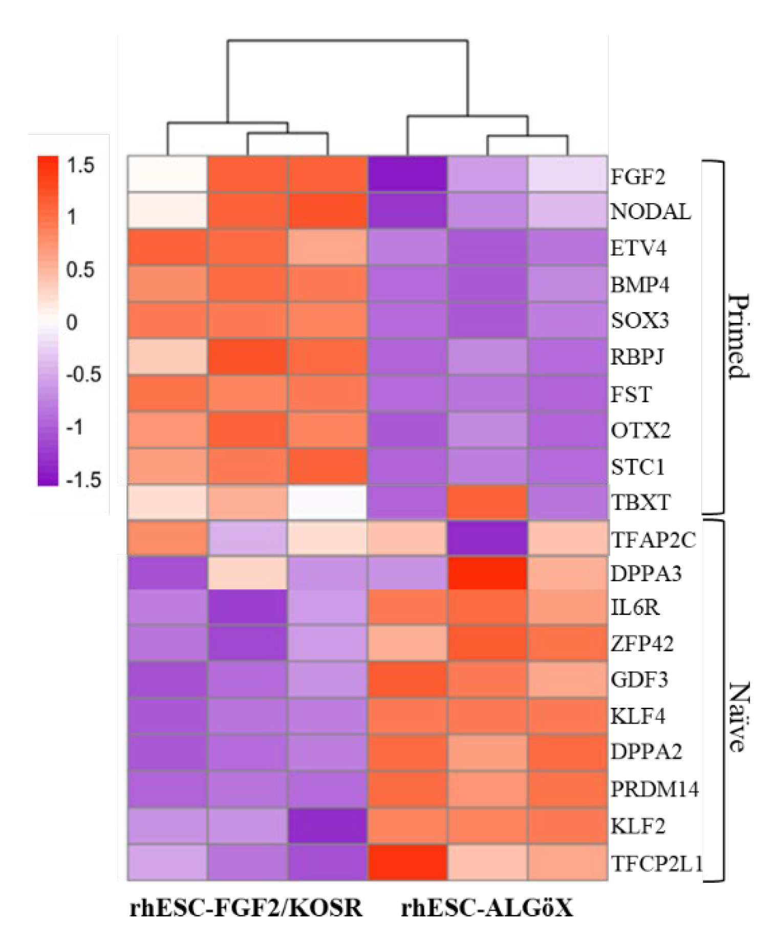 Preprints 172869 g002