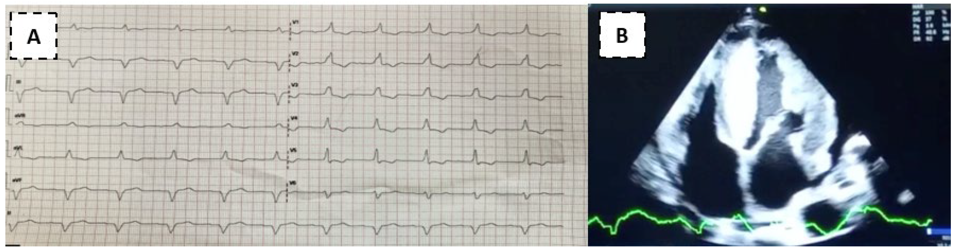 Preprints 109921 g003