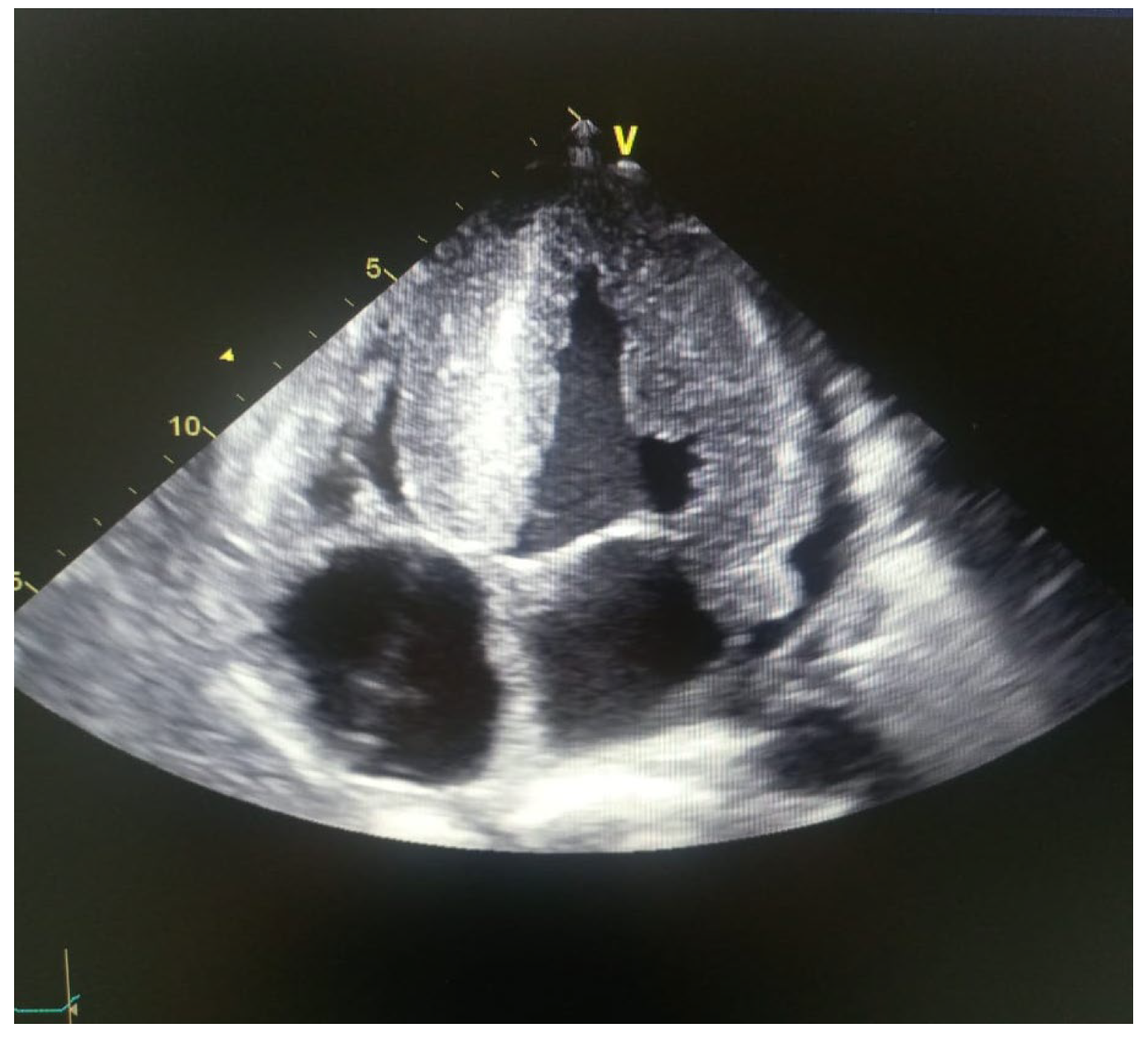 Preprints 109921 g005