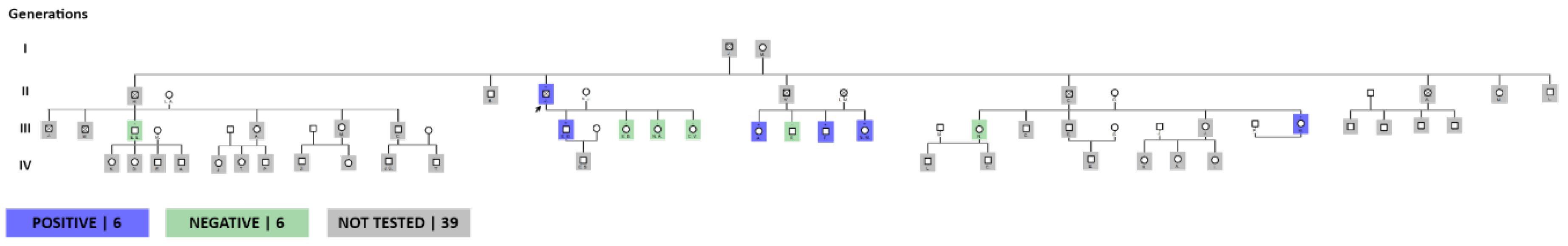 Preprints 109921 g006