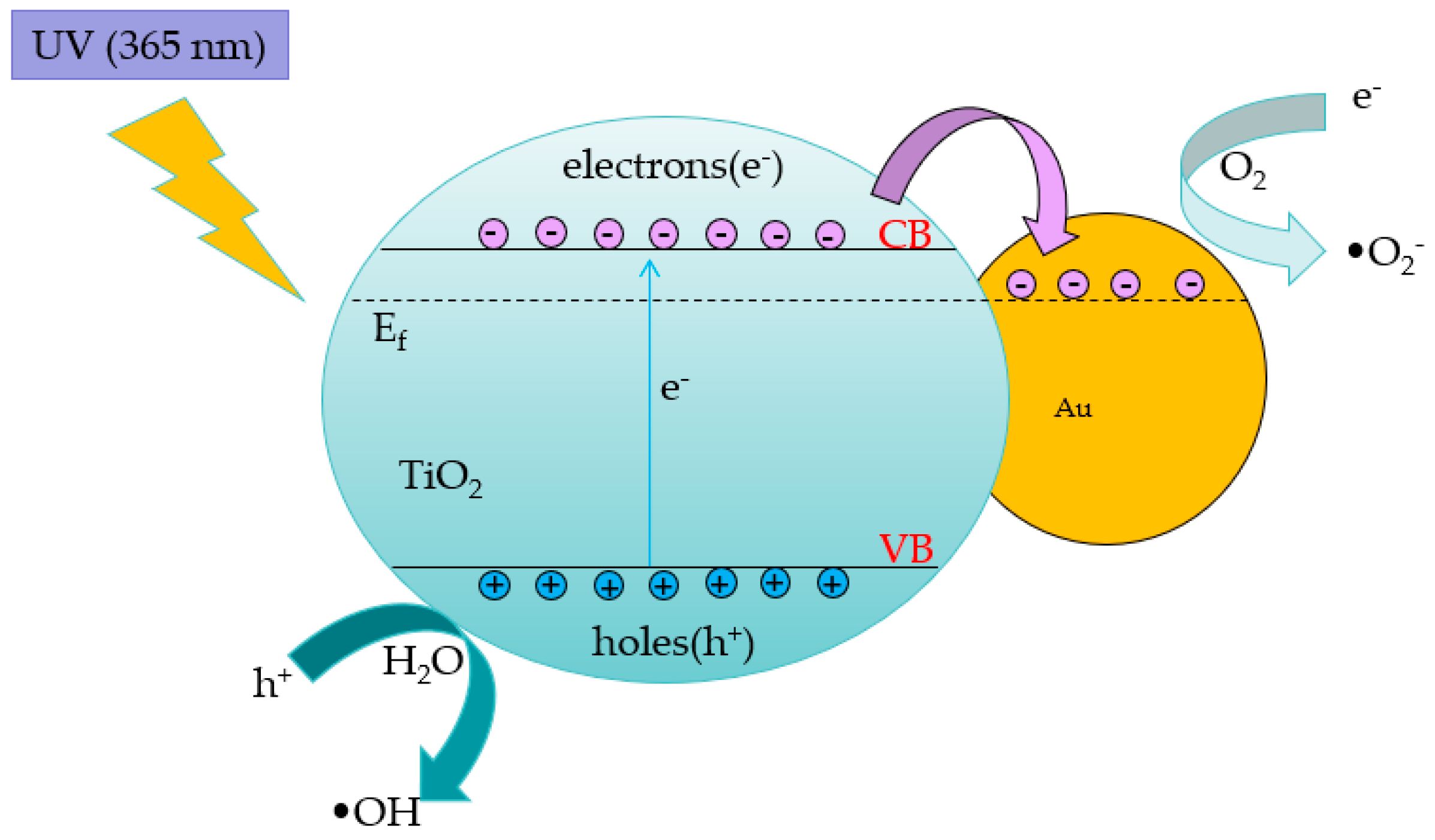 Preprints 97041 g002