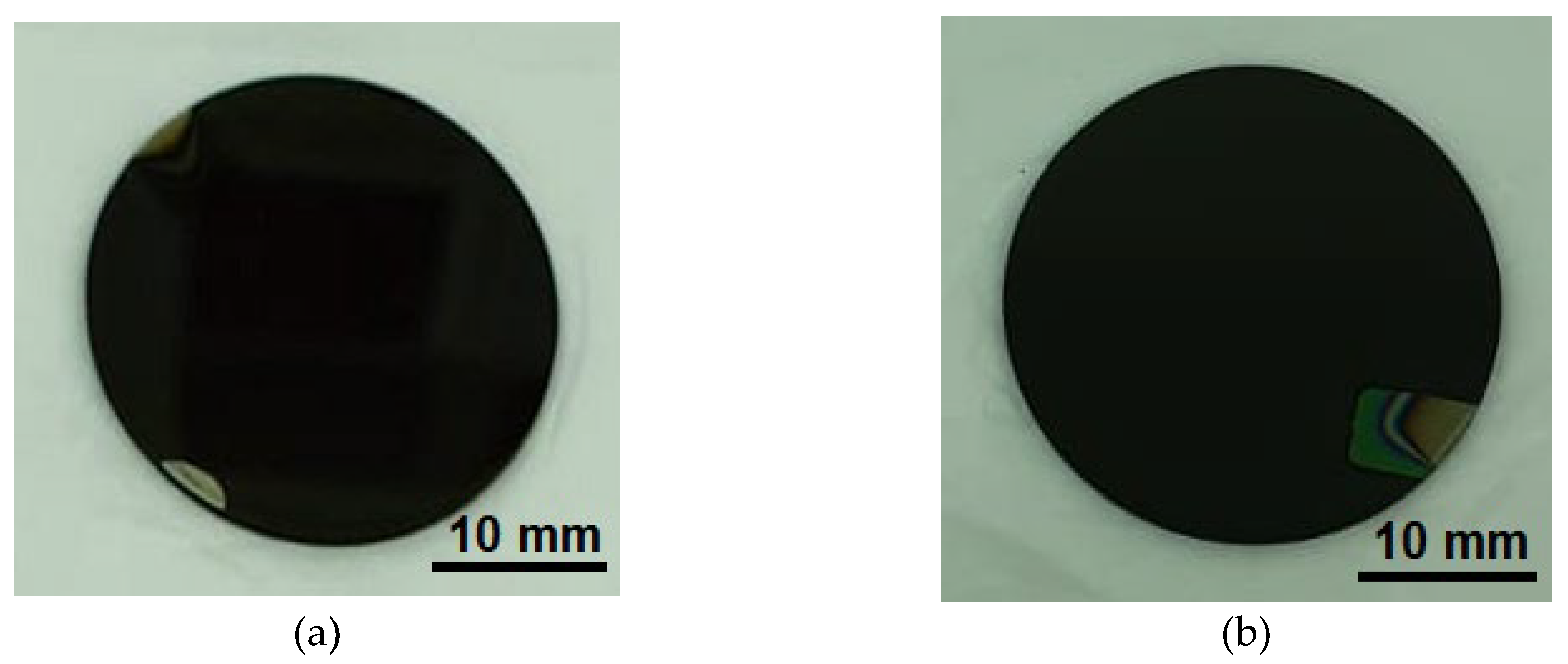 Preprints 116003 g001