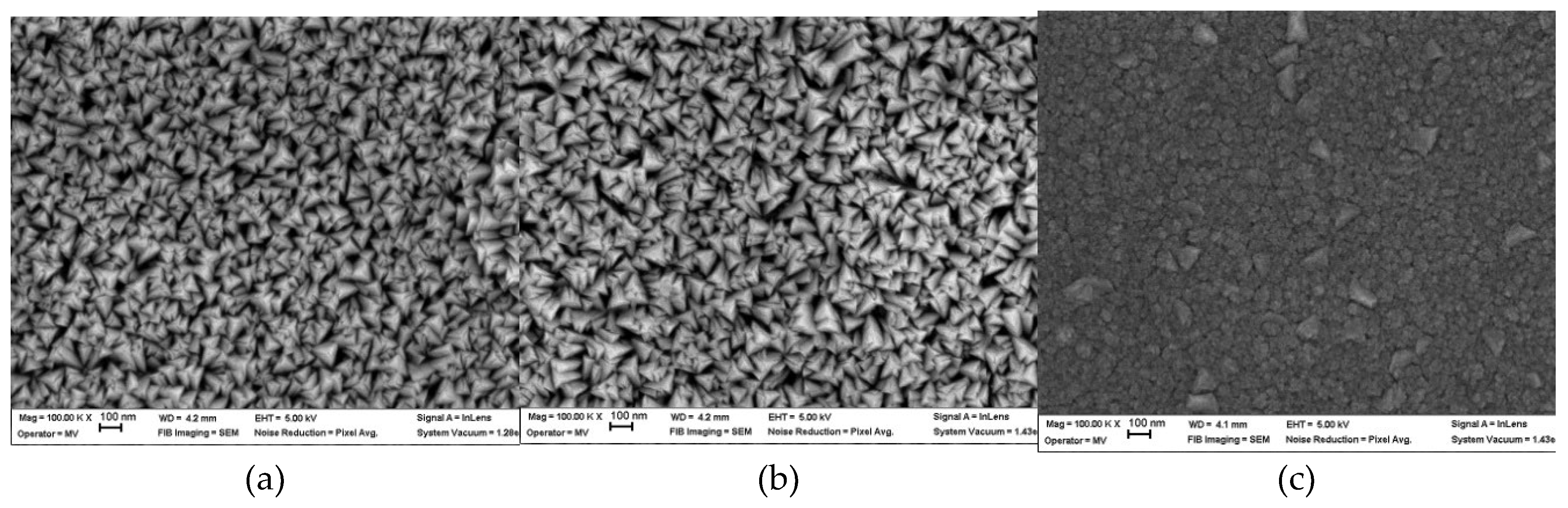 Preprints 116003 g002