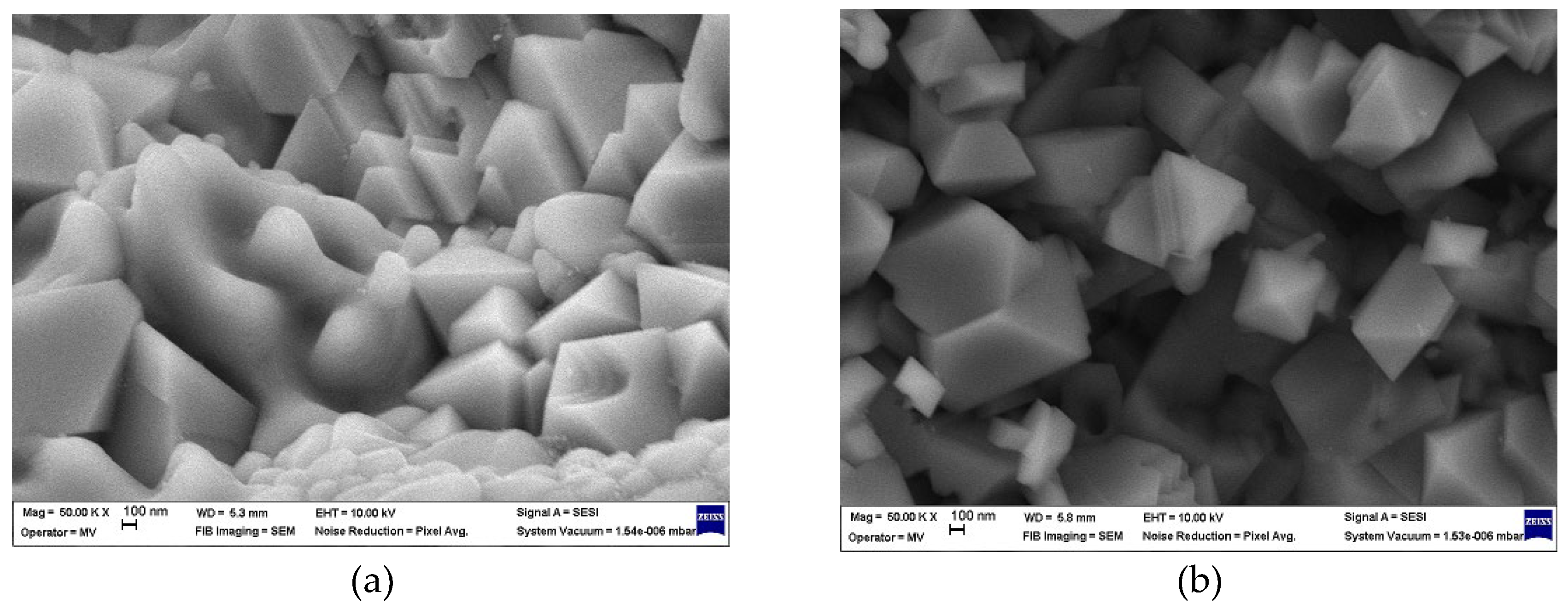 Preprints 116003 g003