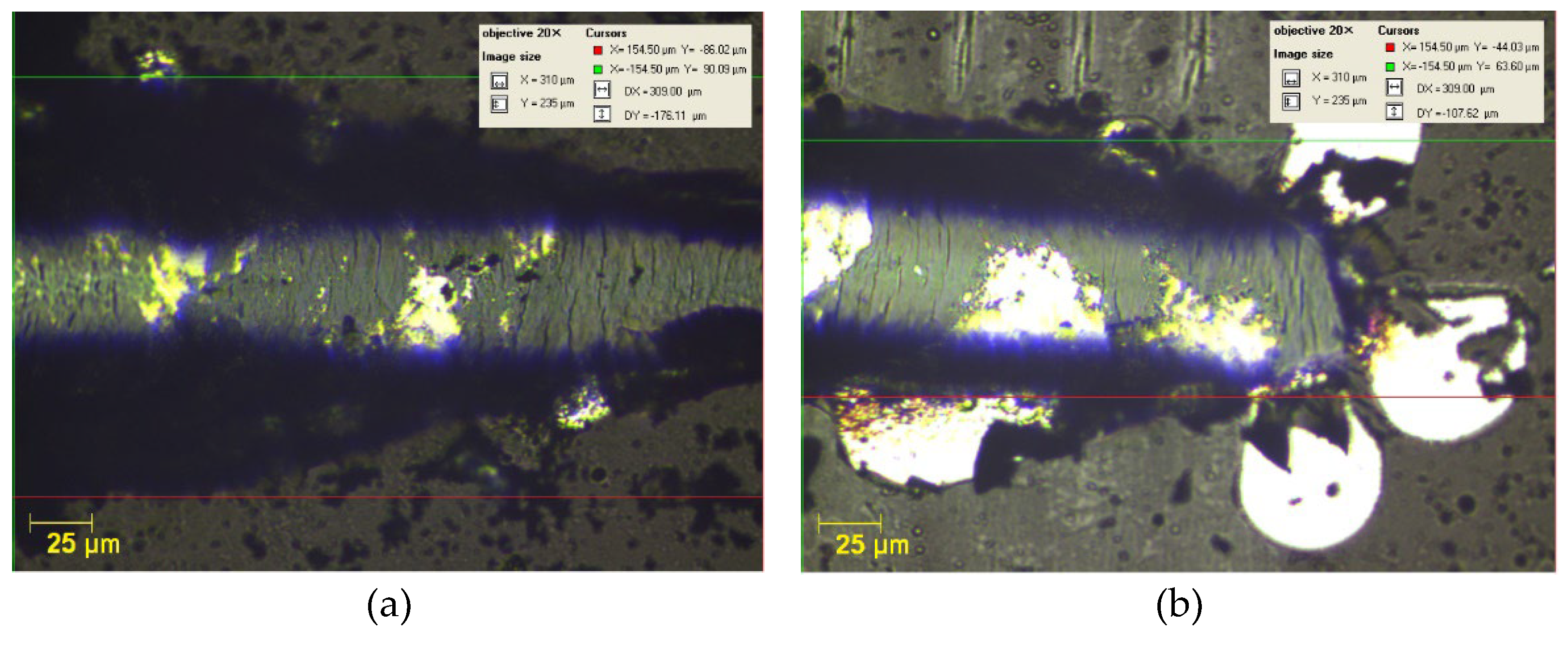 Preprints 116003 g008a