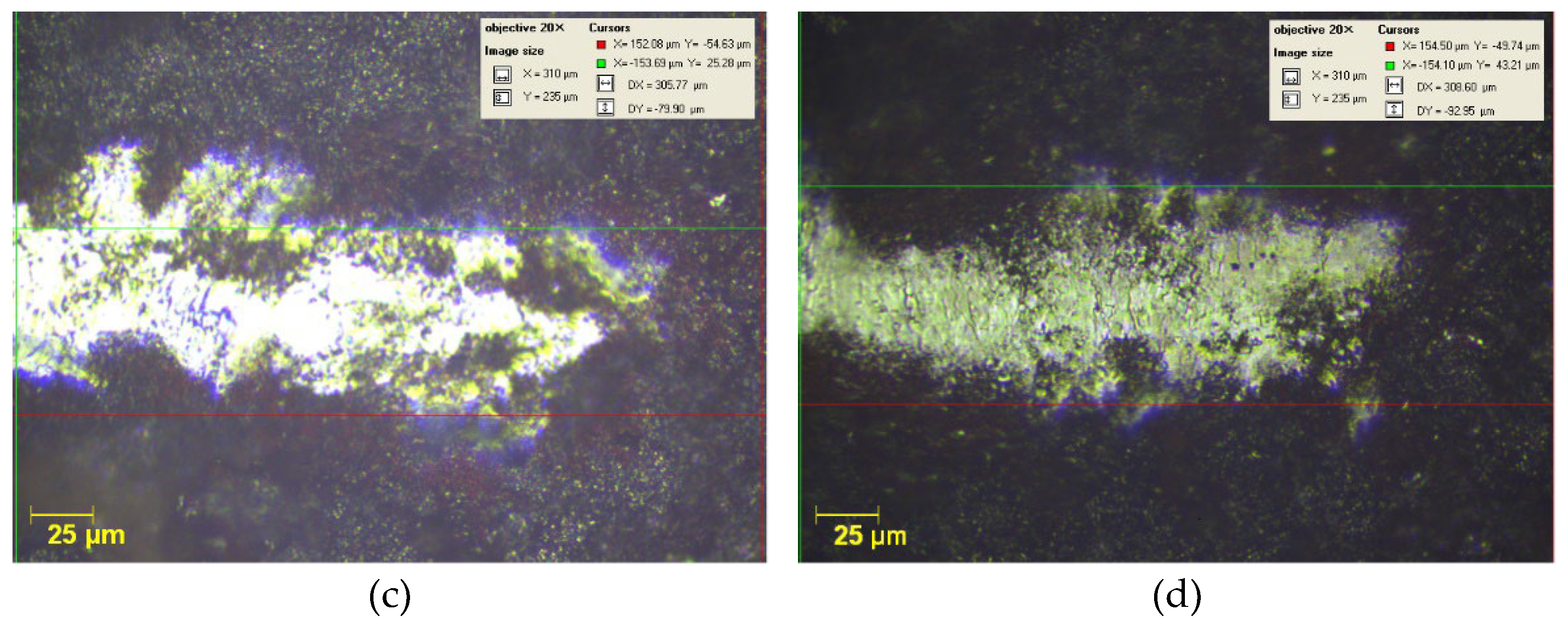 Preprints 116003 g008b
