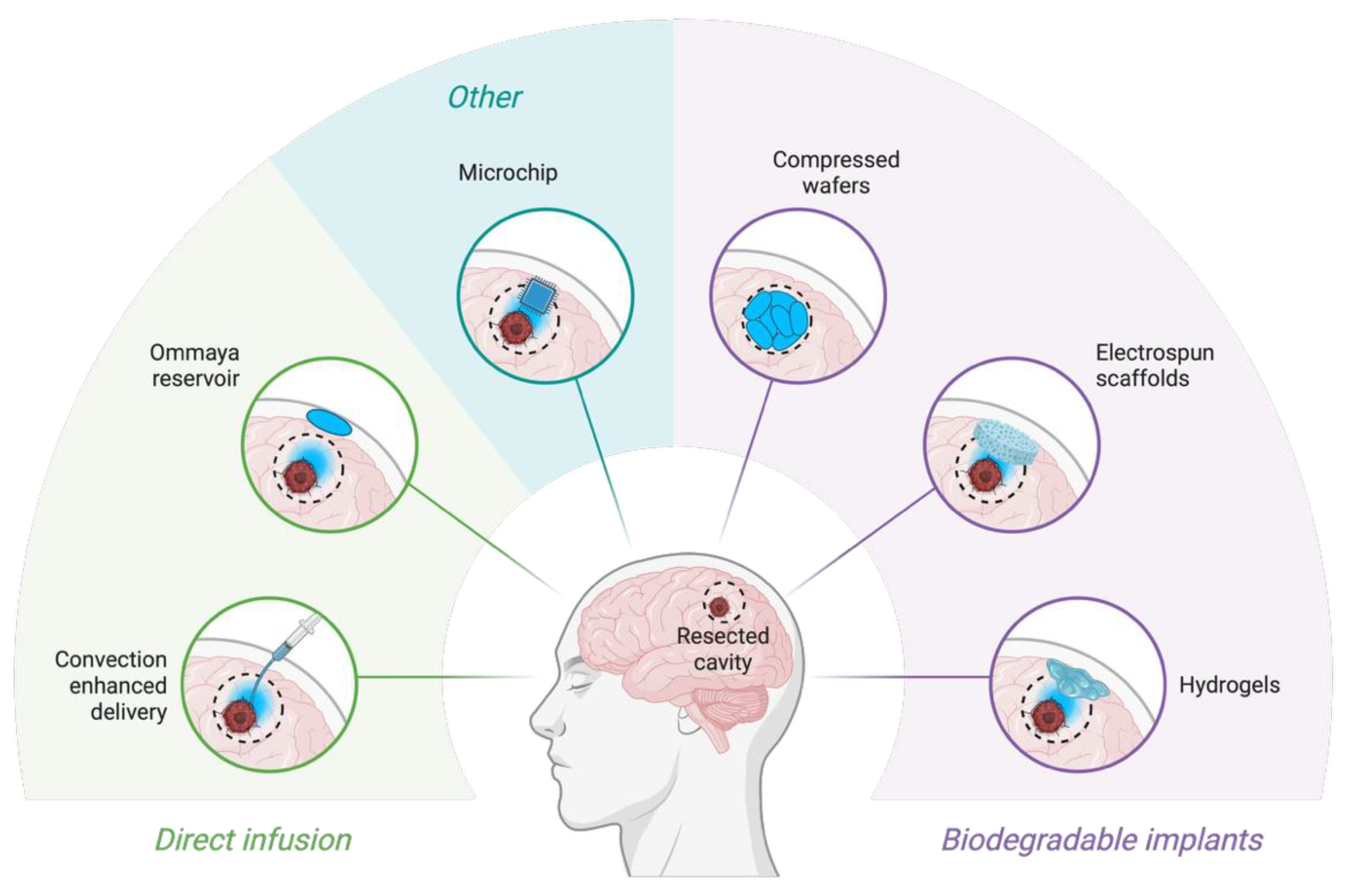 Preprints 185466 g003