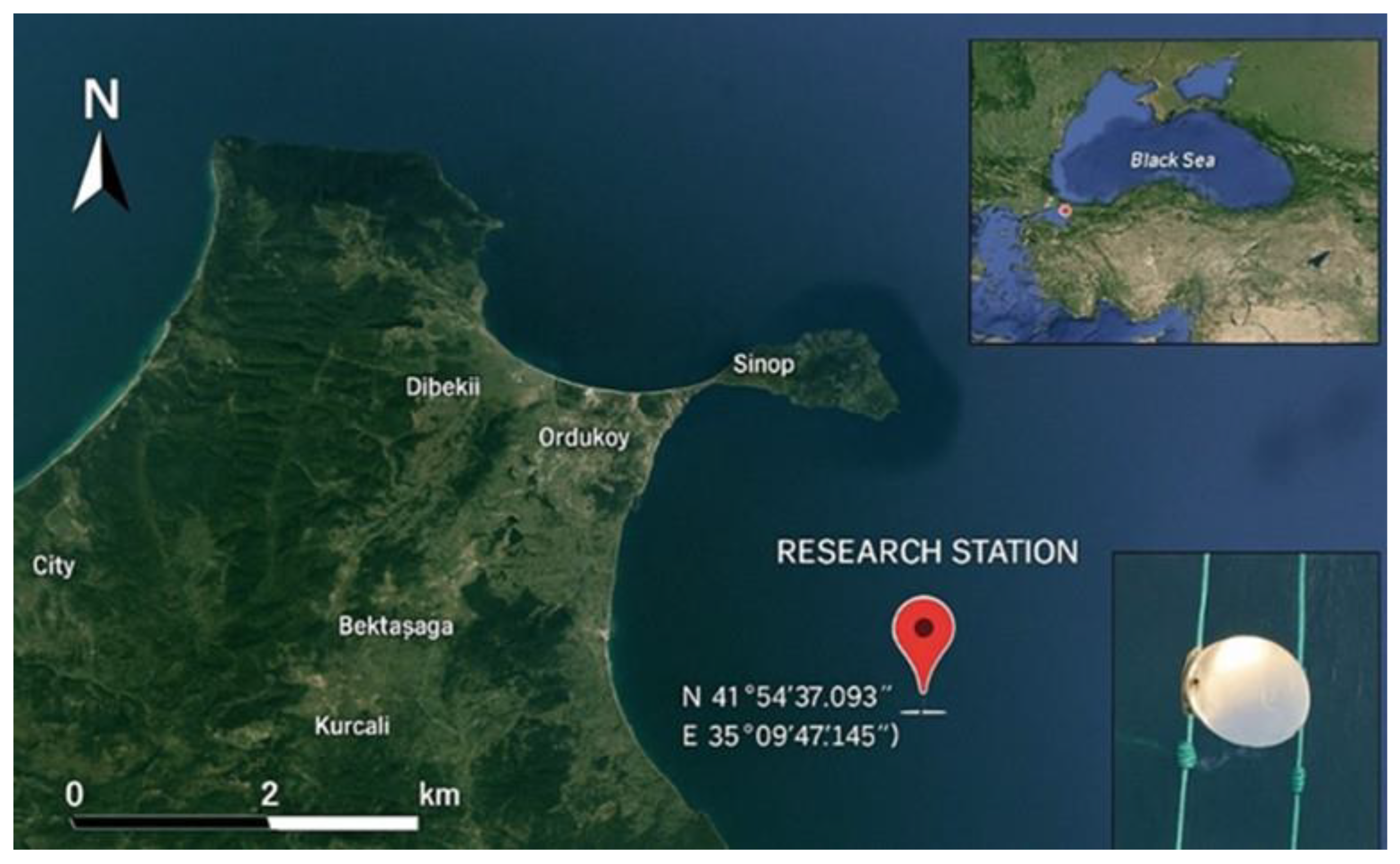 Preprints 172558 g001