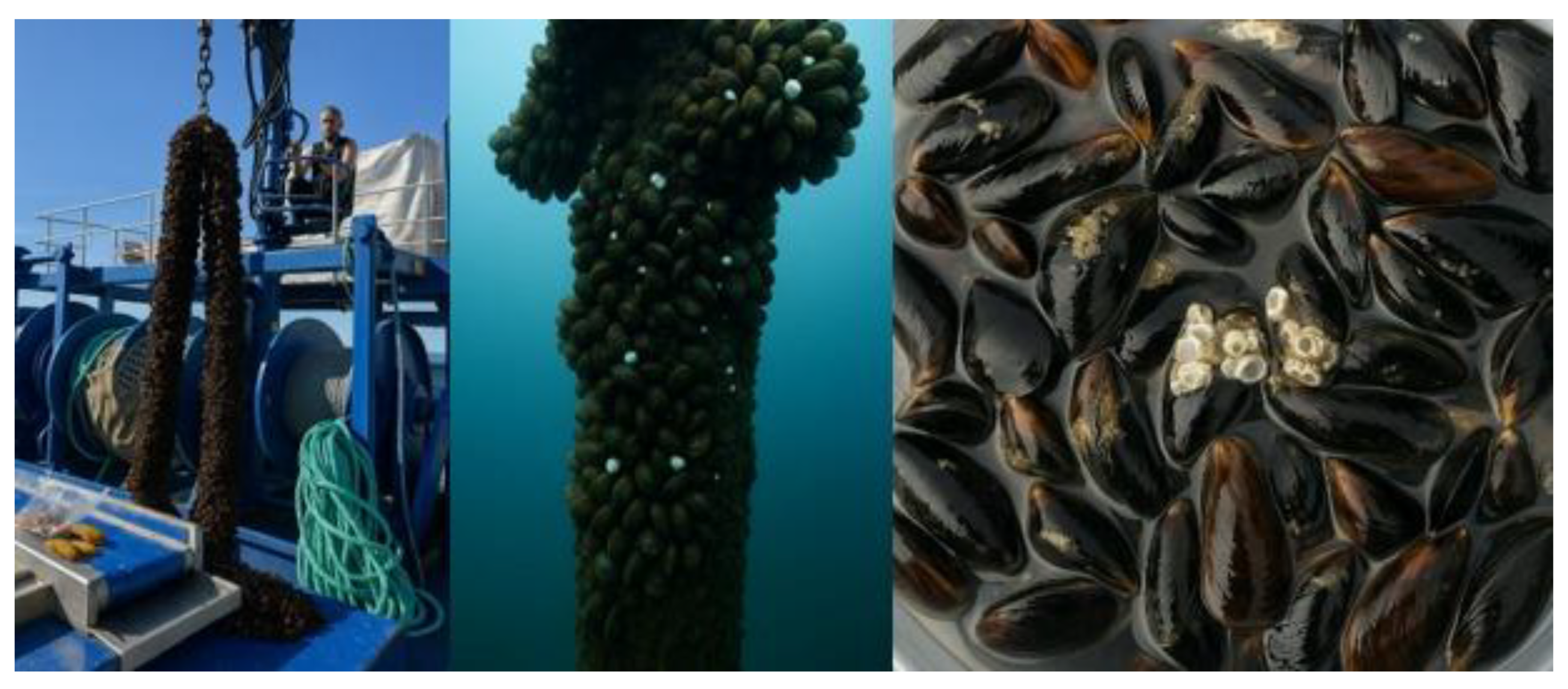 Preprints 172558 g002