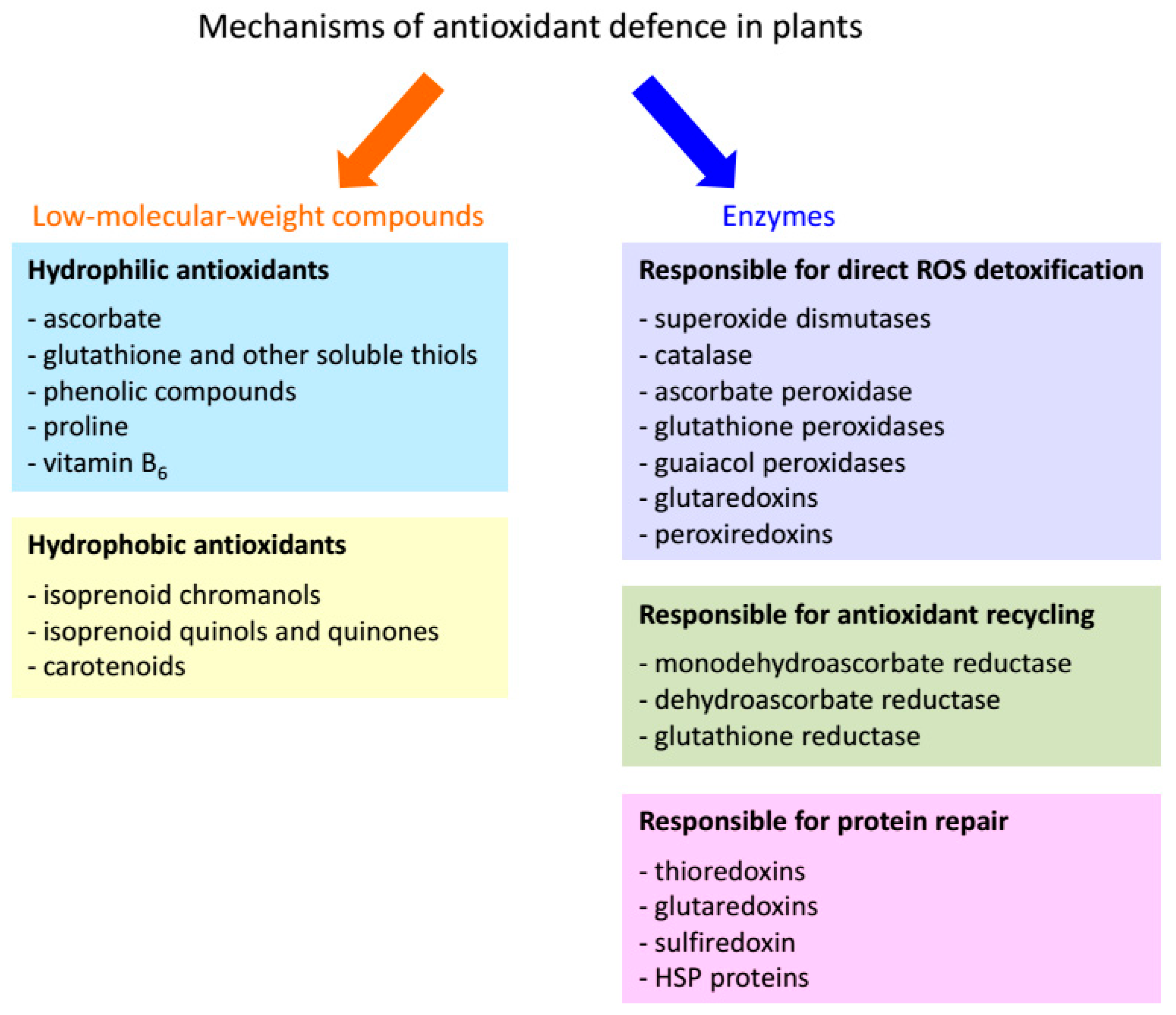 Preprints 235926 g004