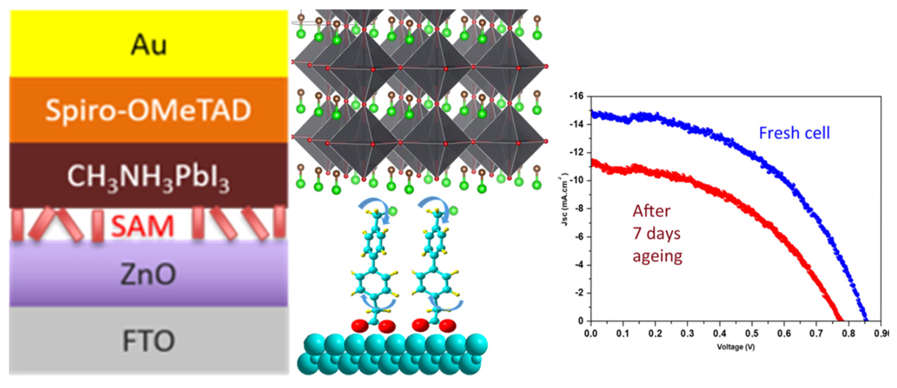 Preprints 95216 g009