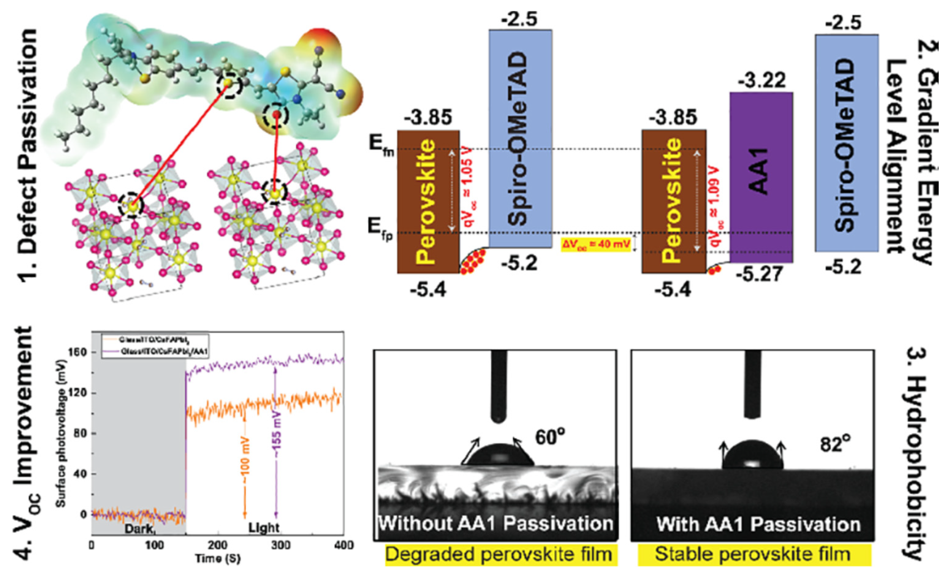 Preprints 95216 g010