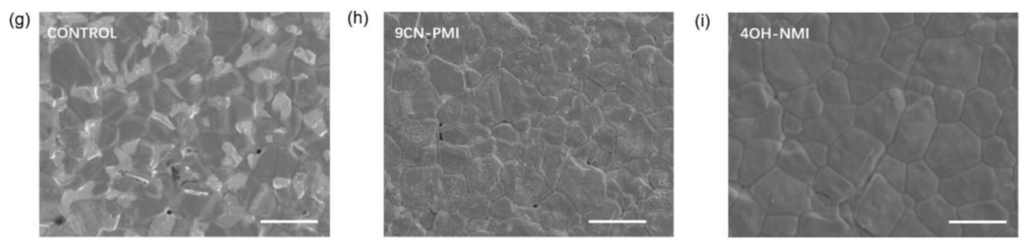 Preprints 95216 g012