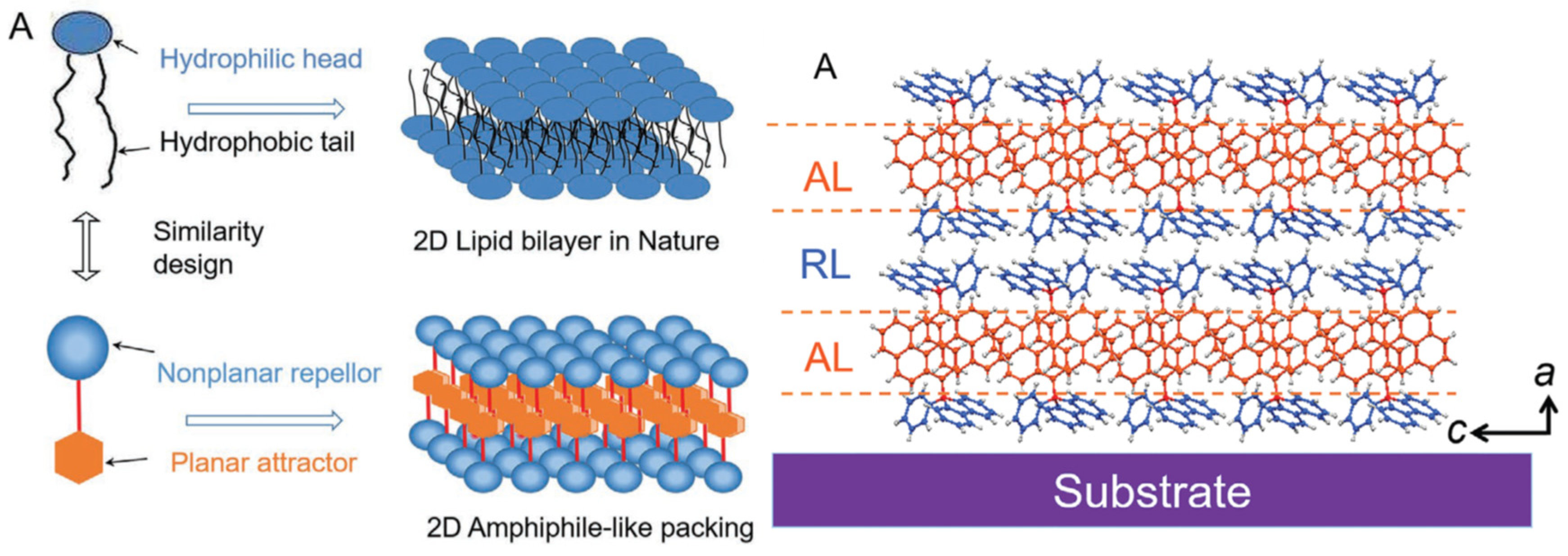 Preprints 95216 g020