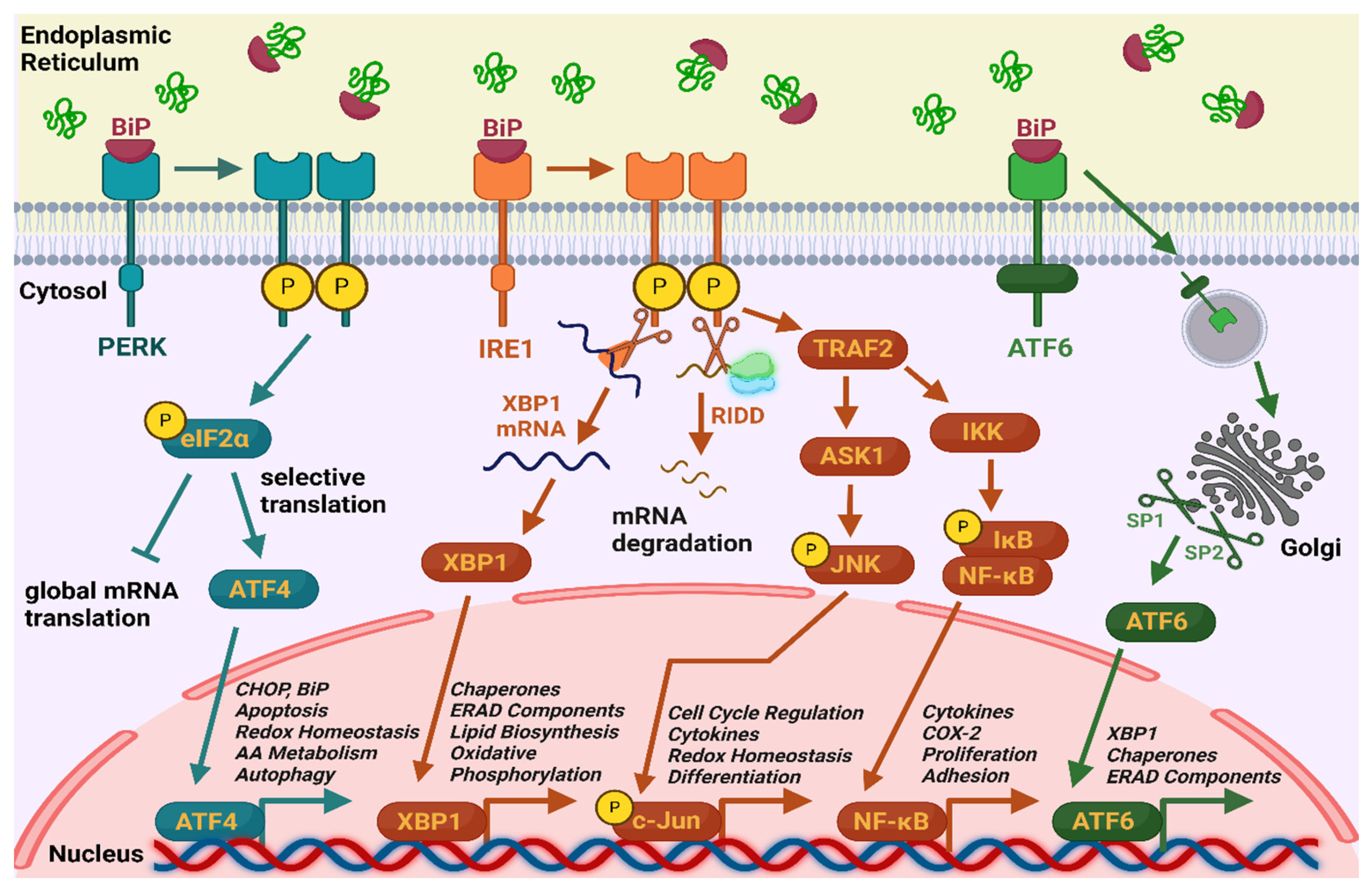 Preprints 170011 g001