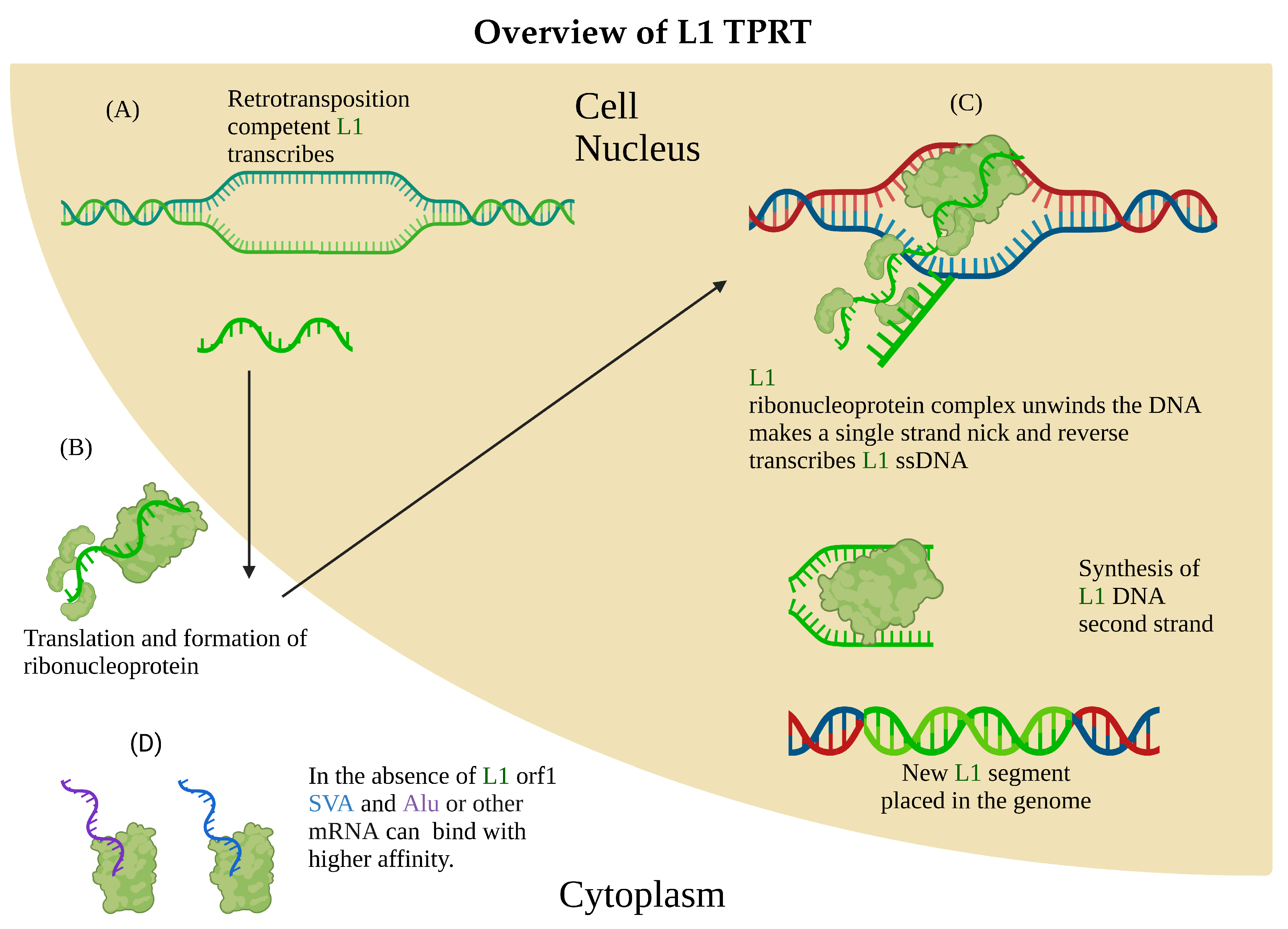 Preprints 223393 g001