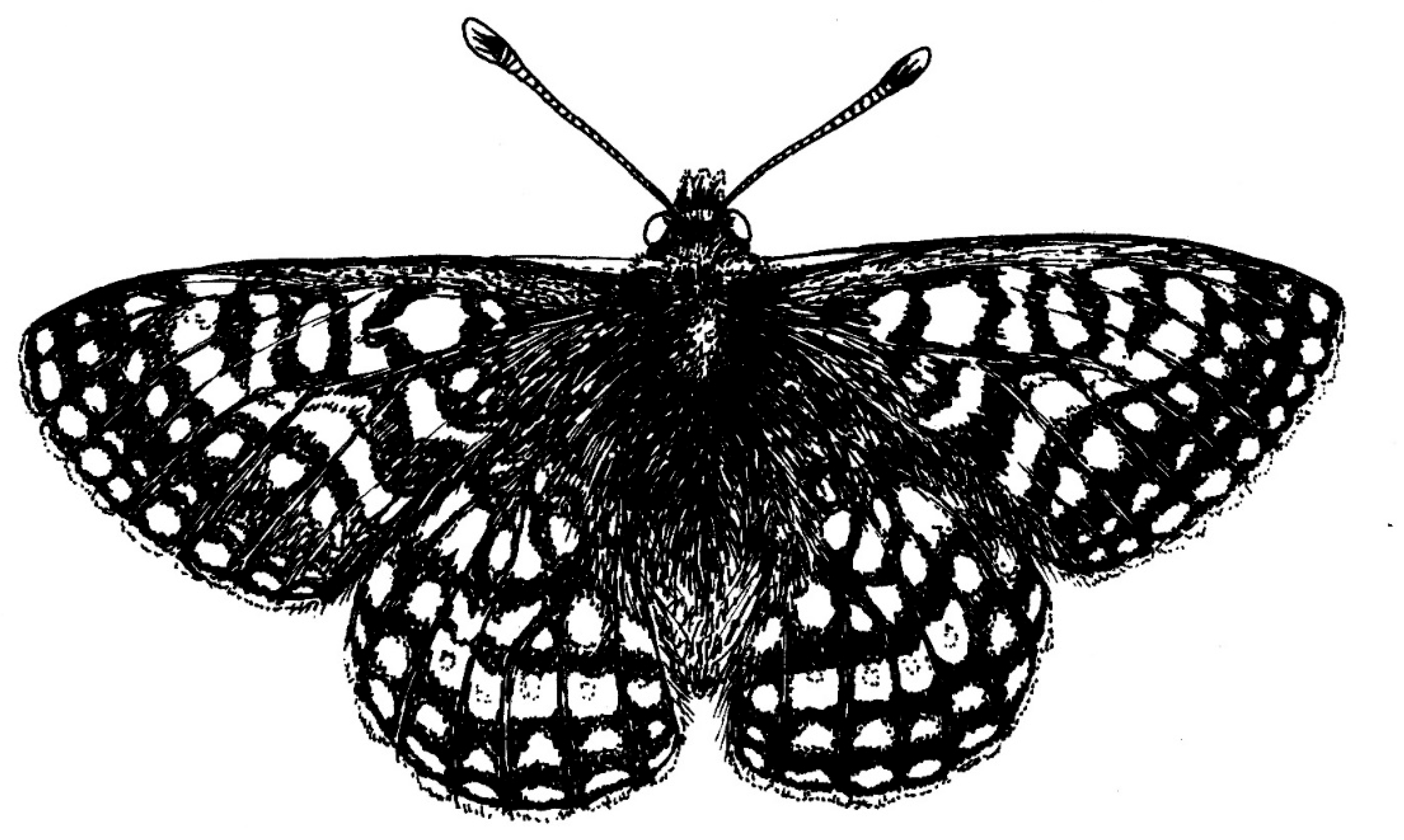 Preprints 176551 g001