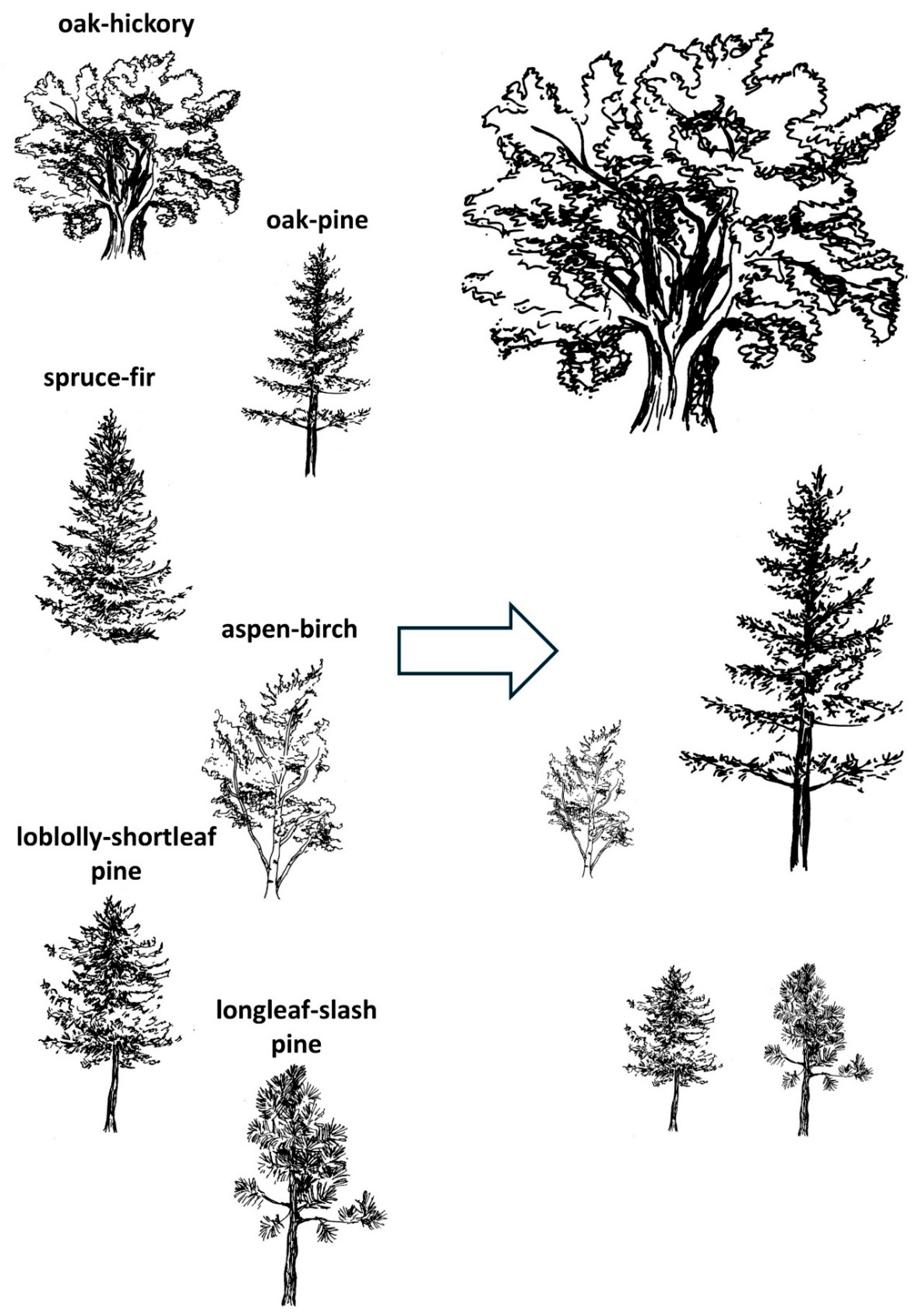 Preprints 176551 g002