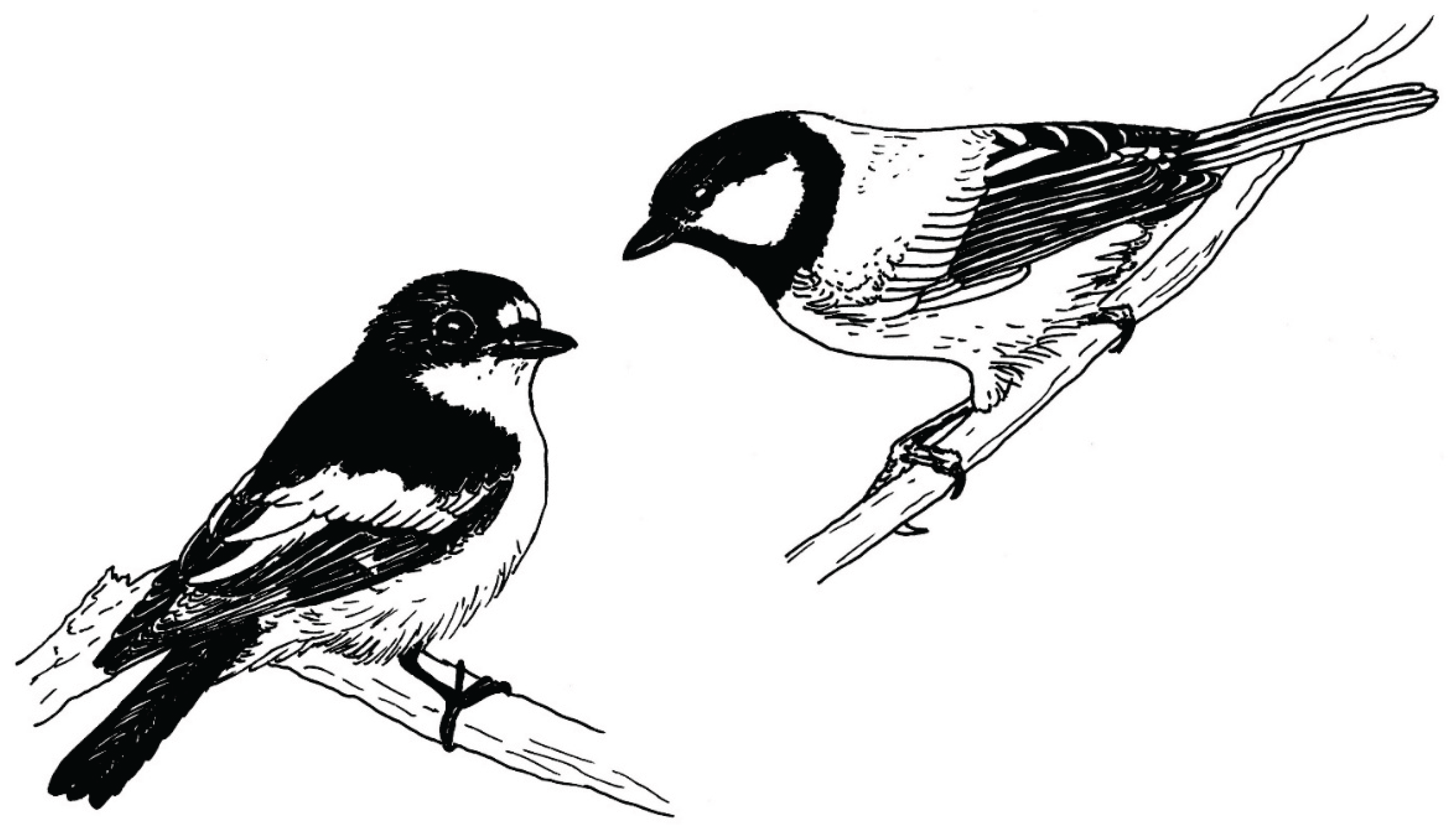 Preprints 176551 g003