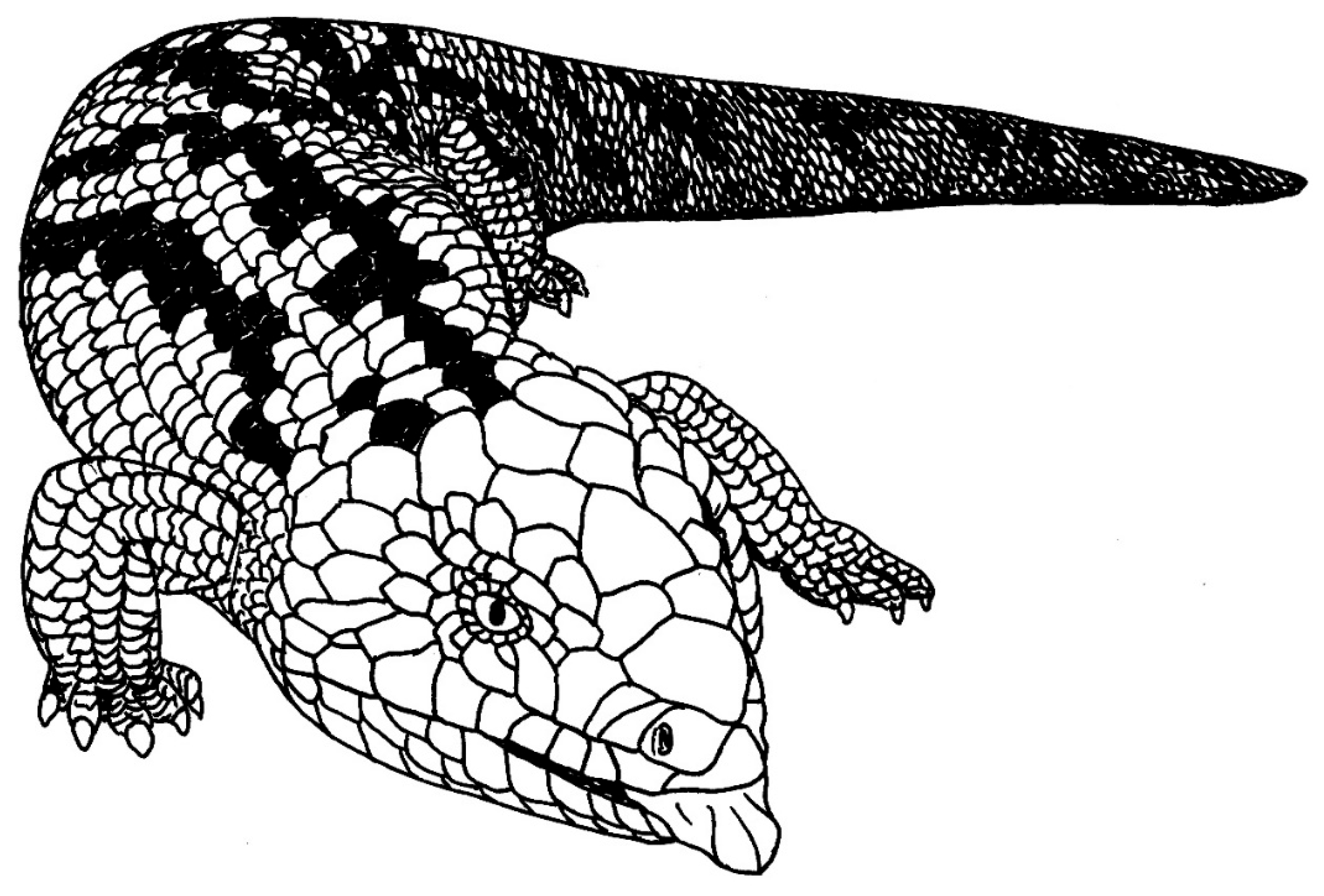 Preprints 176551 g004