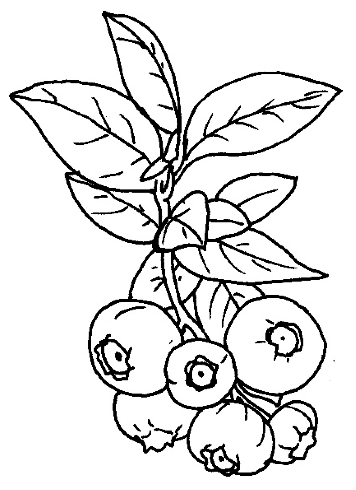 Preprints 176551 g005