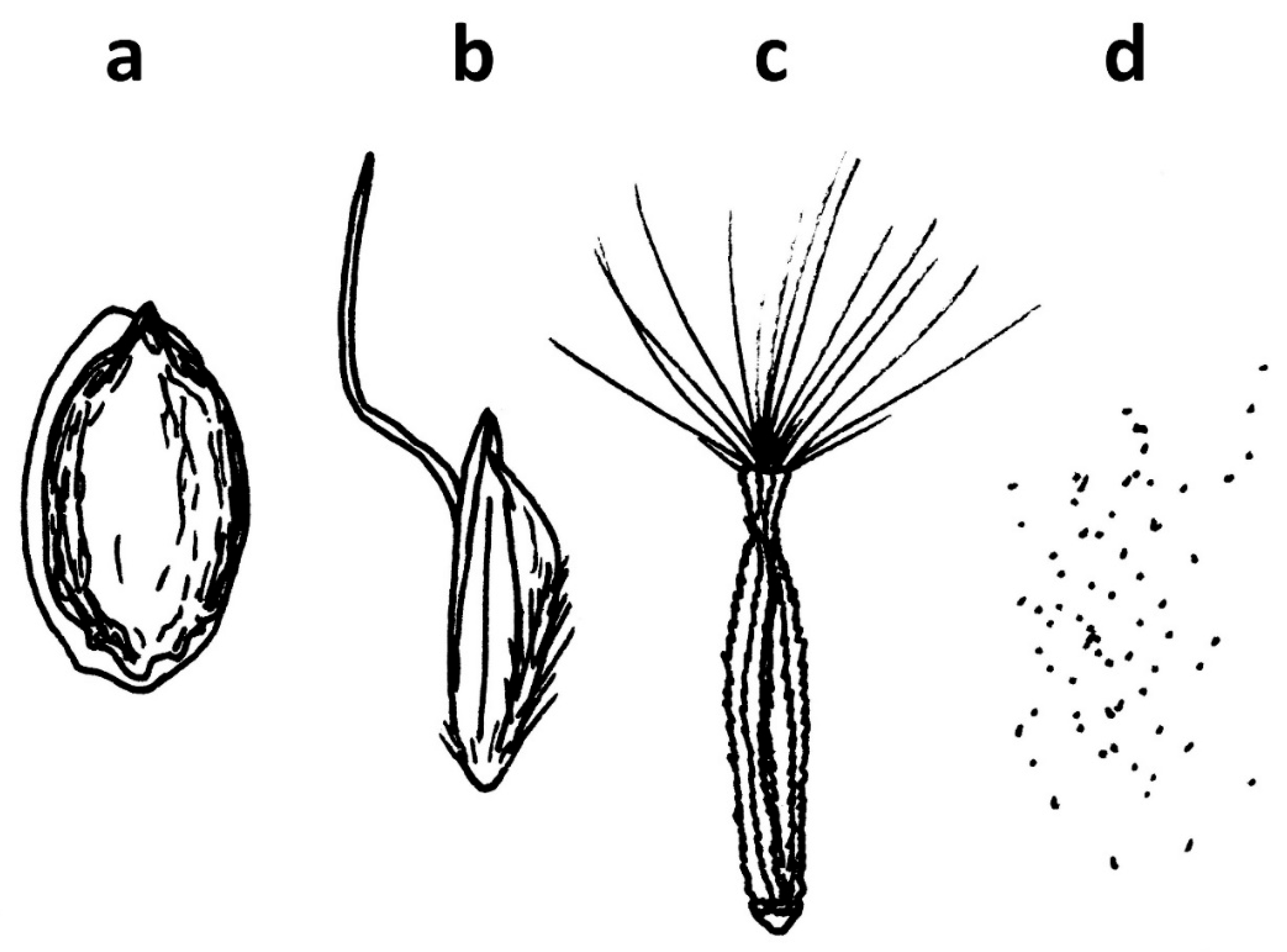 Preprints 176551 g006