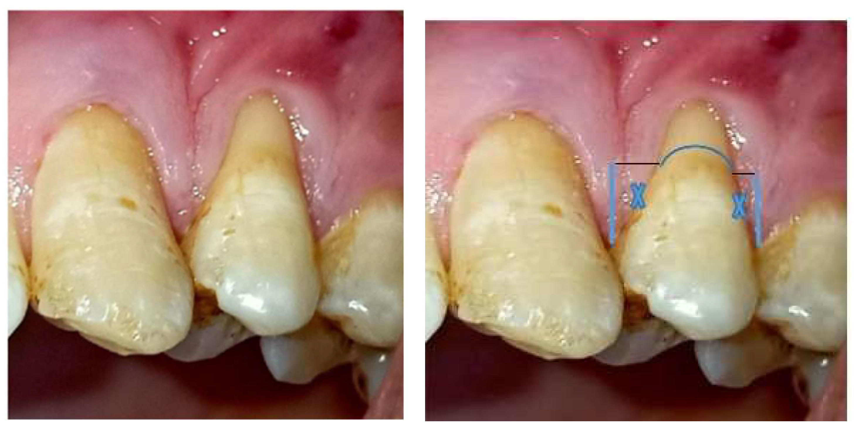 Preprints 139955 g001