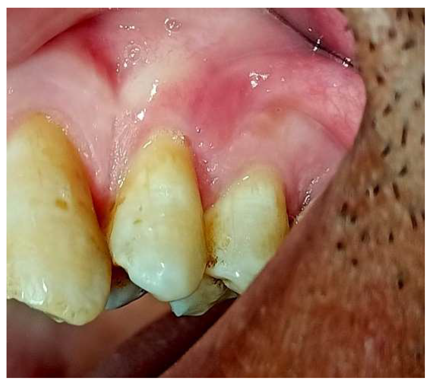 Preprints 139955 g015