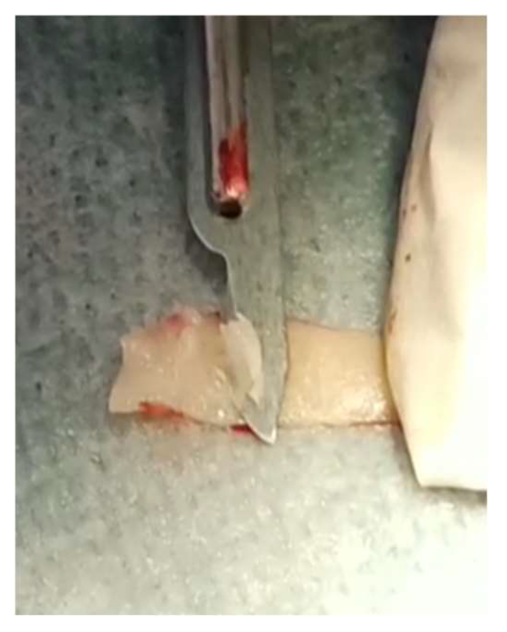 Preprints 139955 g029