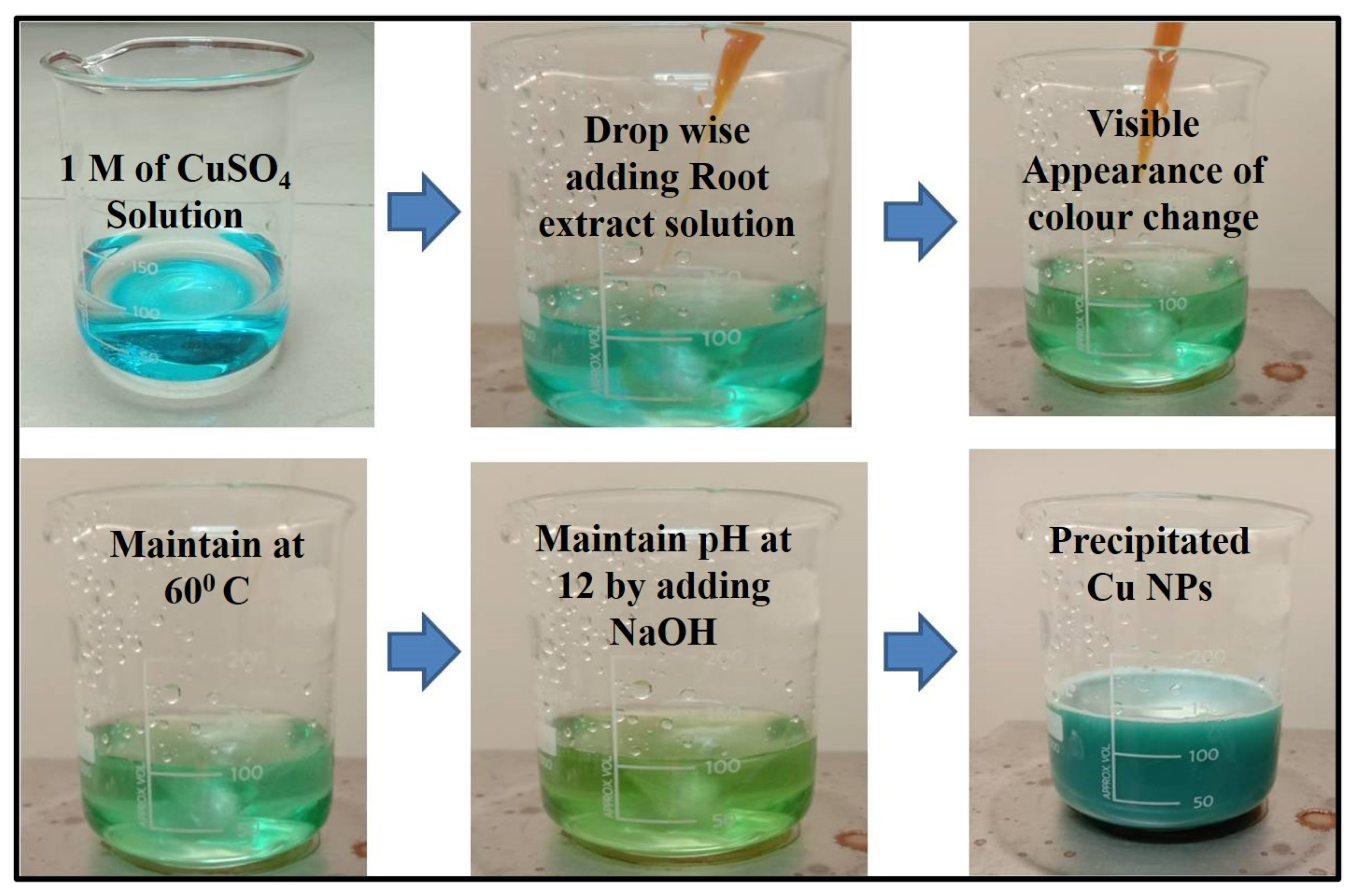 Preprints 77234 g001