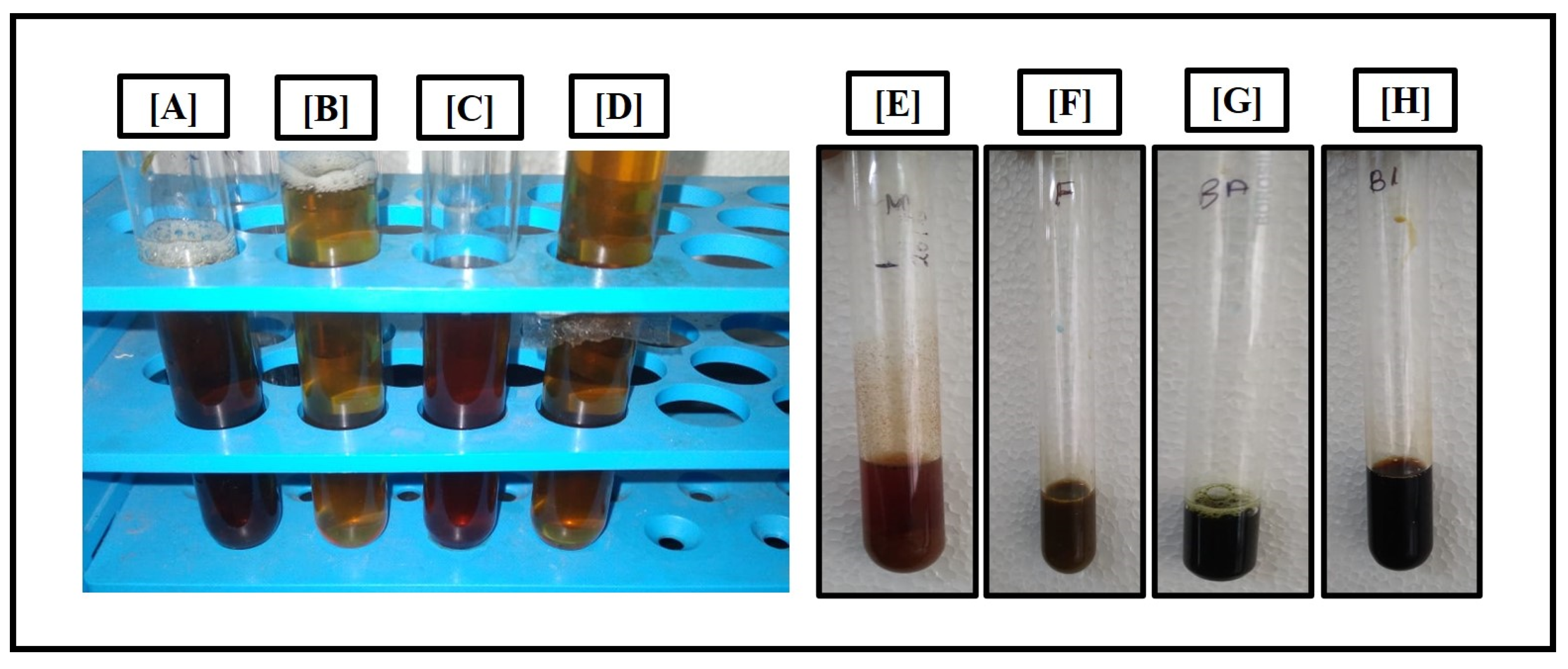 Preprints 77234 g005