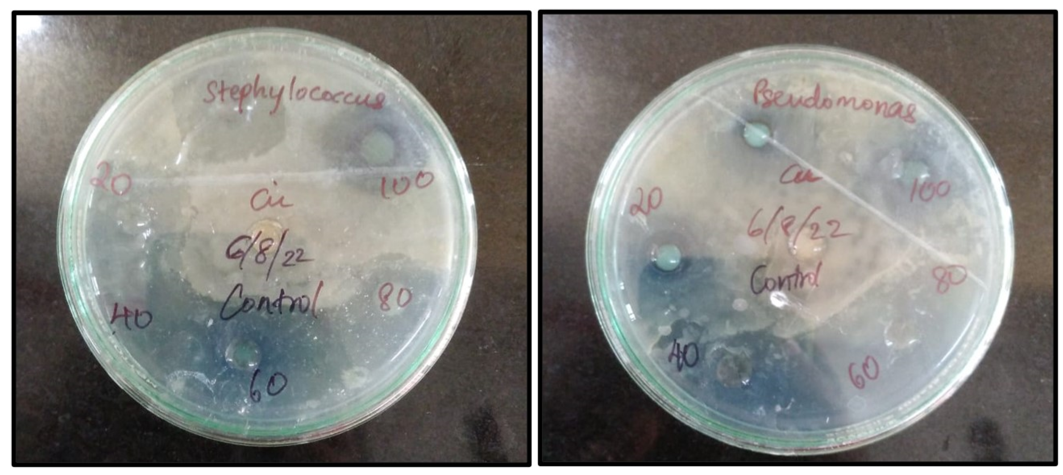 Preprints 77234 g010