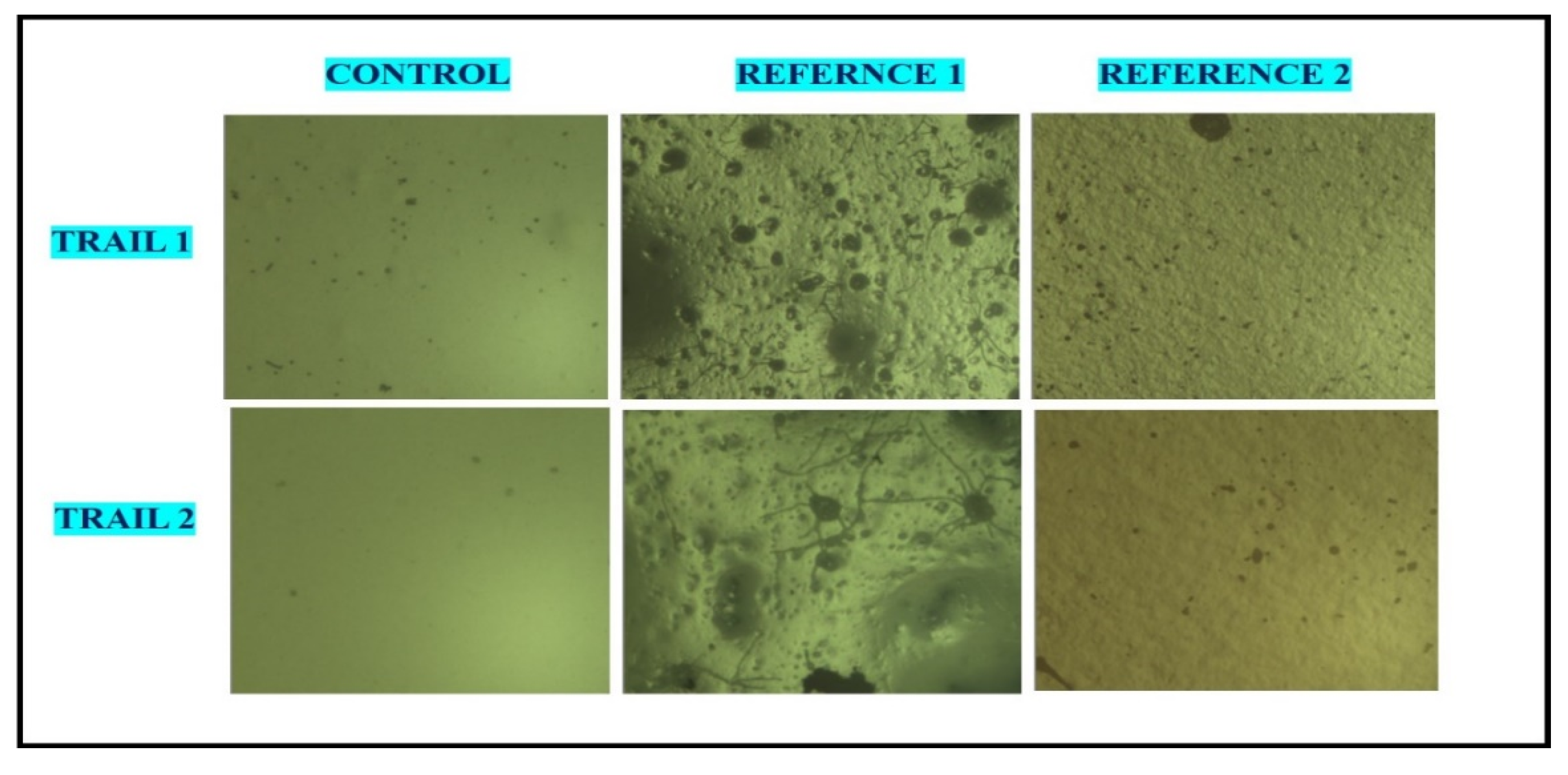 Preprints 77234 g012