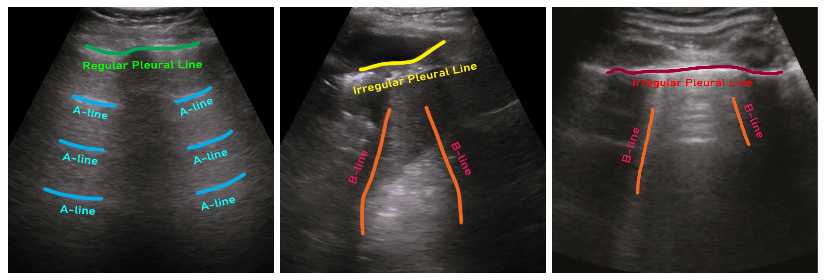 Preprints 131729 g001