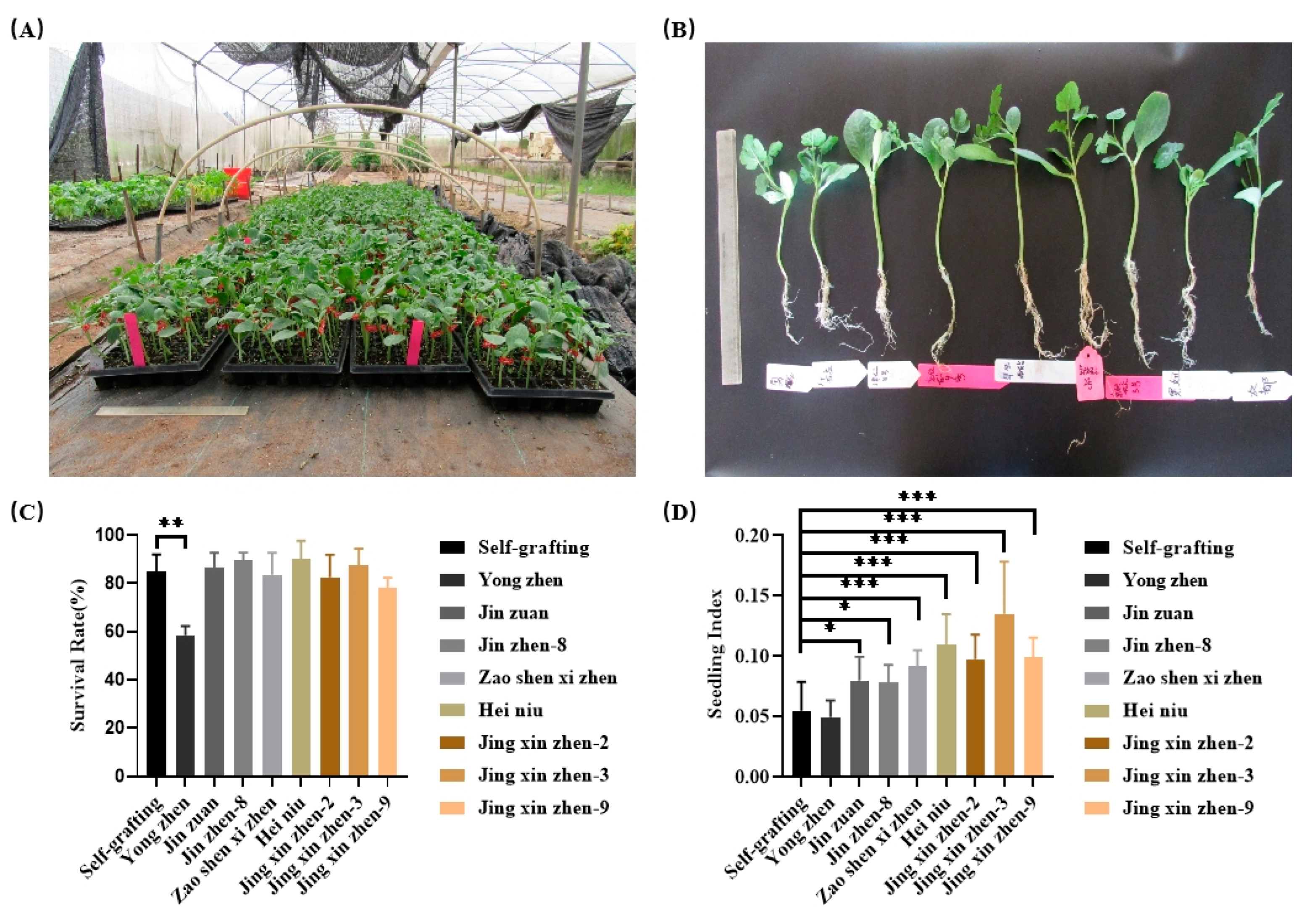 Preprints 142403 g001