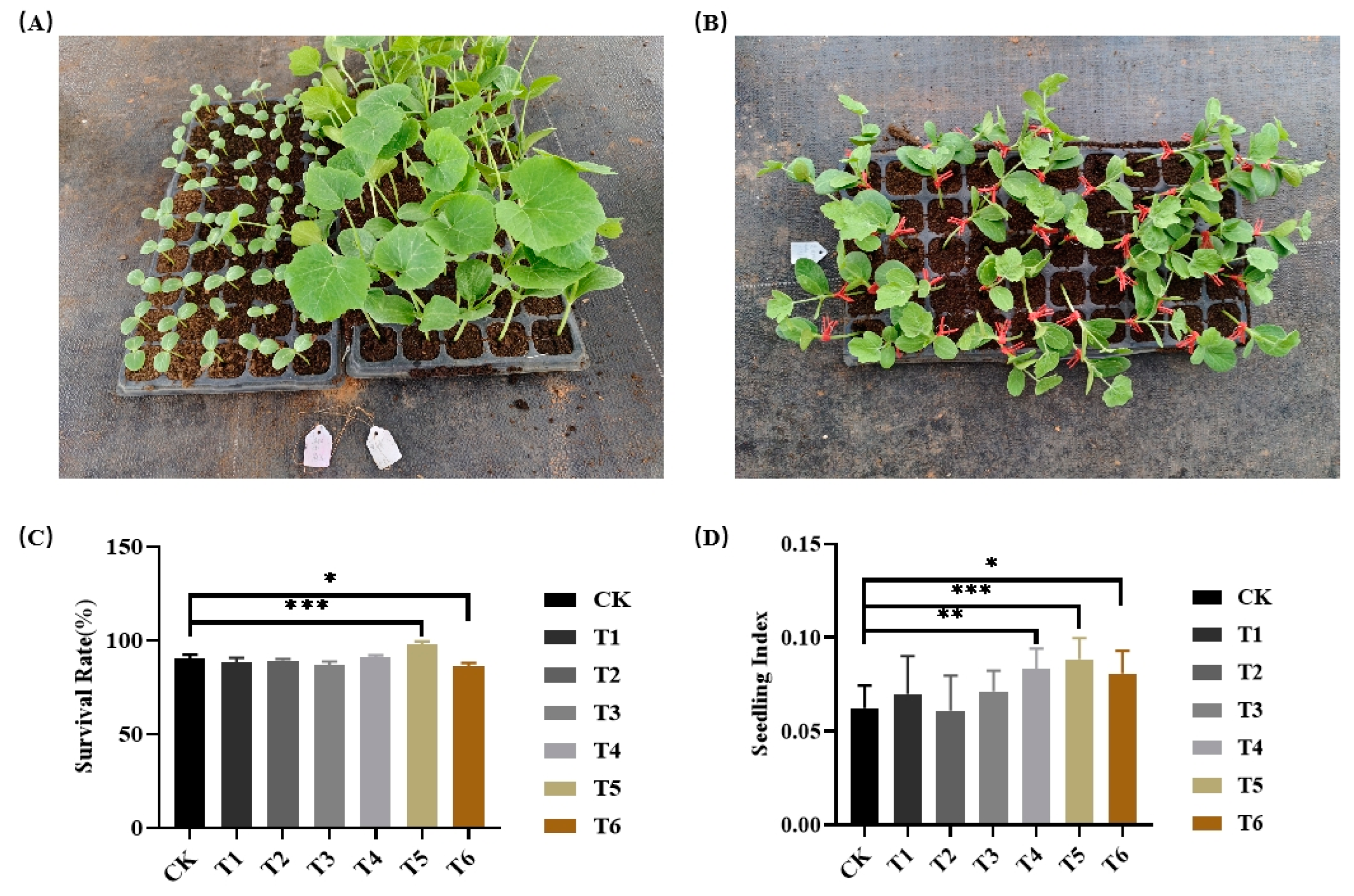 Preprints 142403 g002