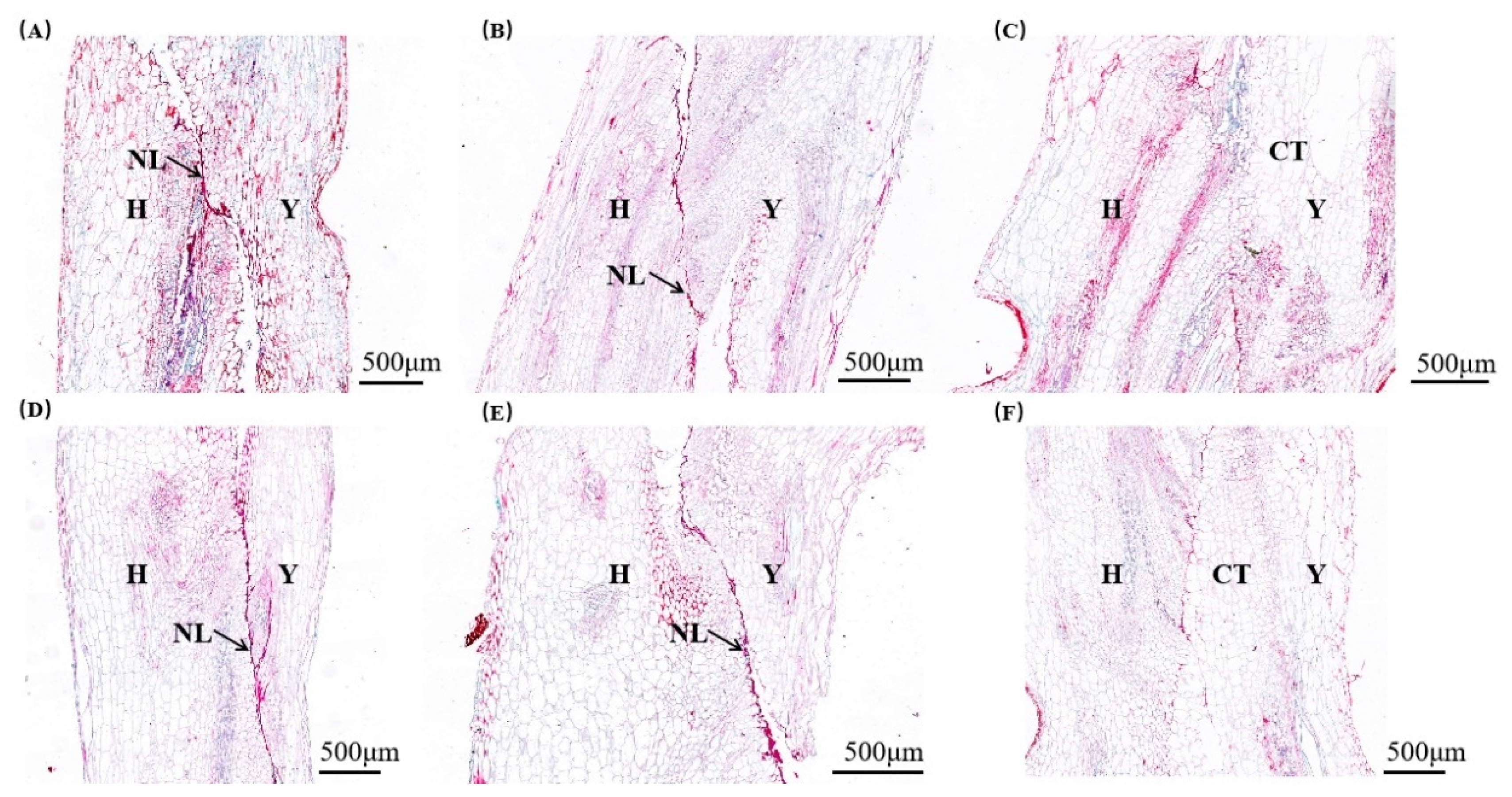 Preprints 142403 g003