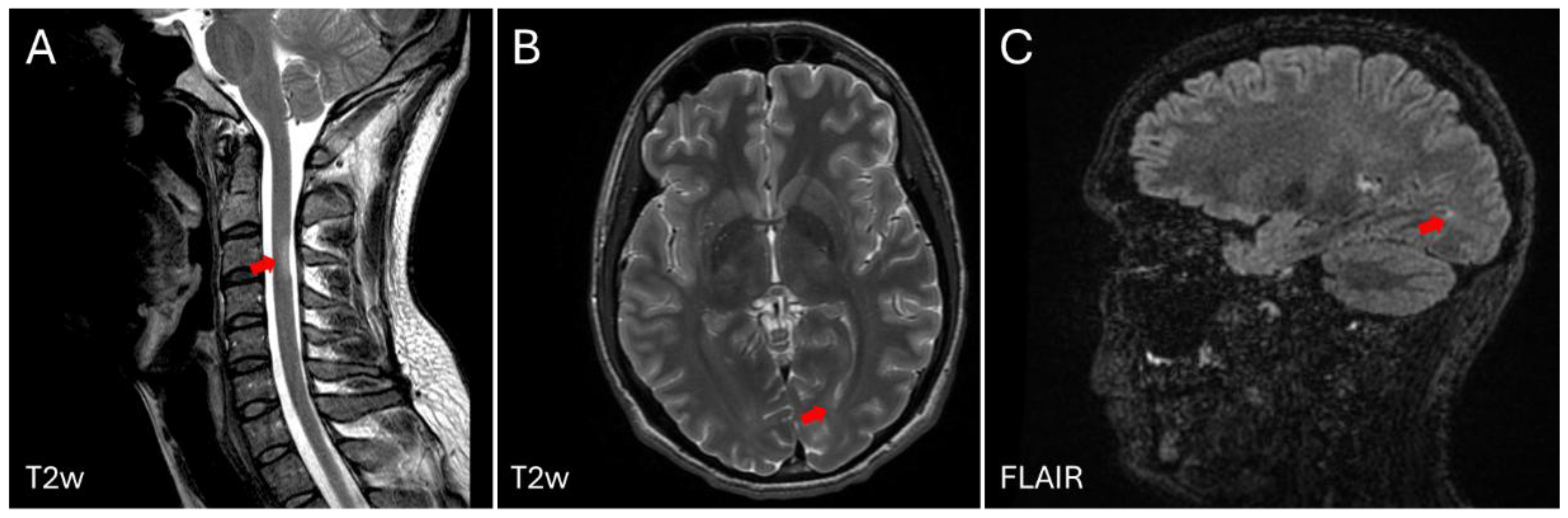 Preprints 149431 g001