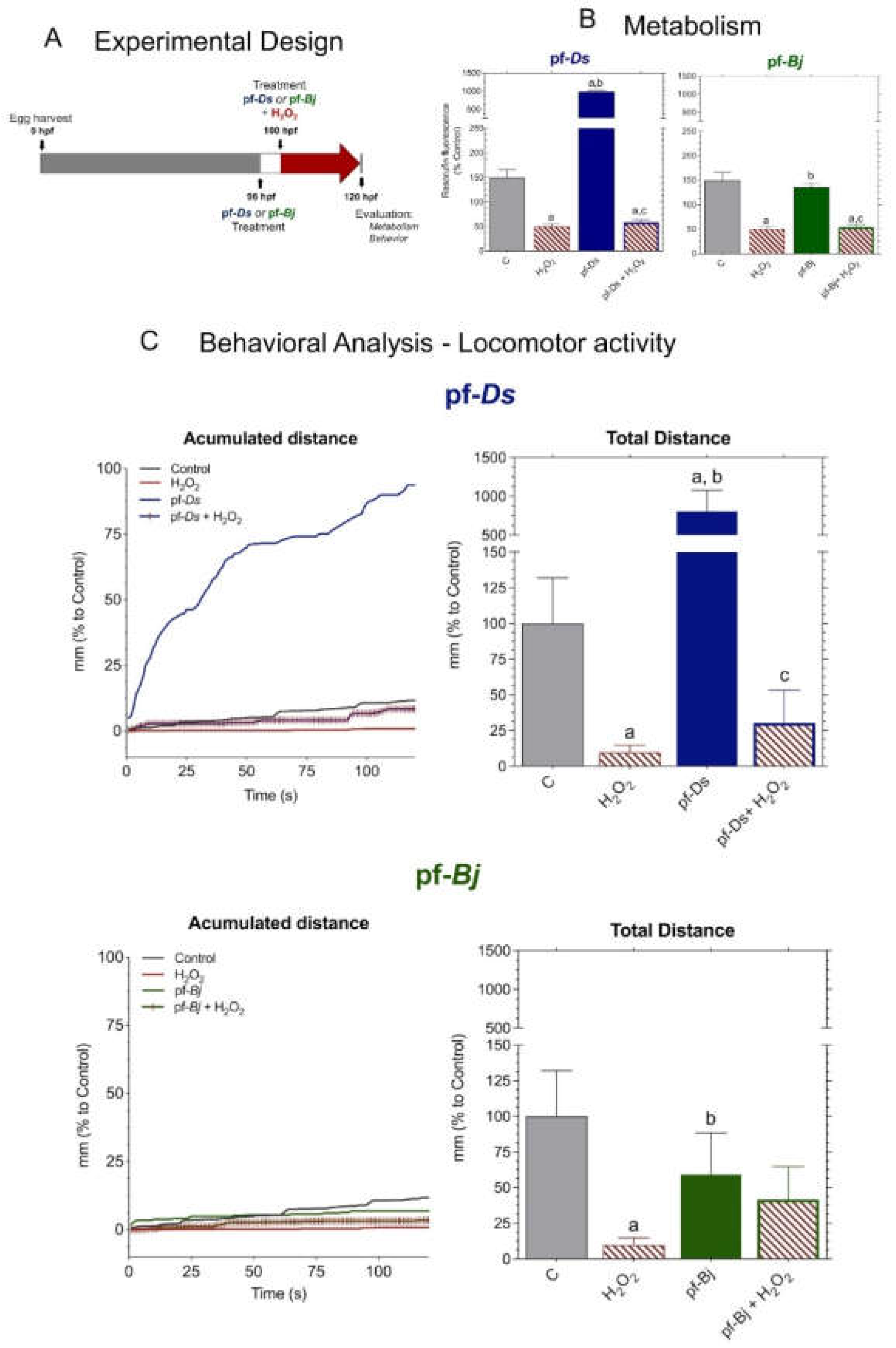 Preprints 155297 g004