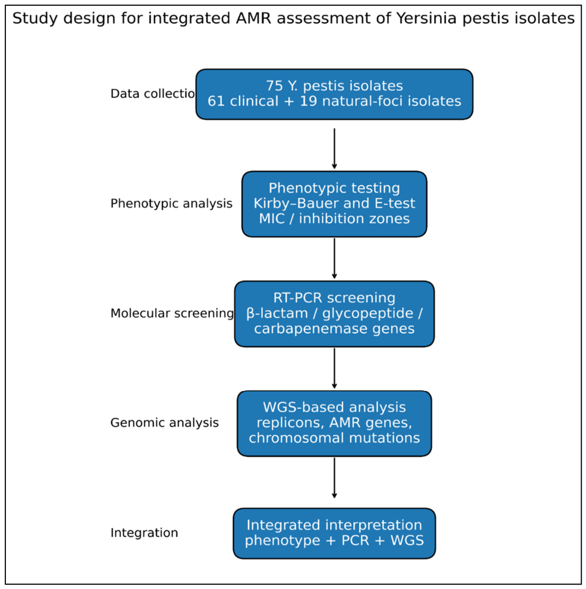 Preprints 211626 g001 Preprints 211626 g001