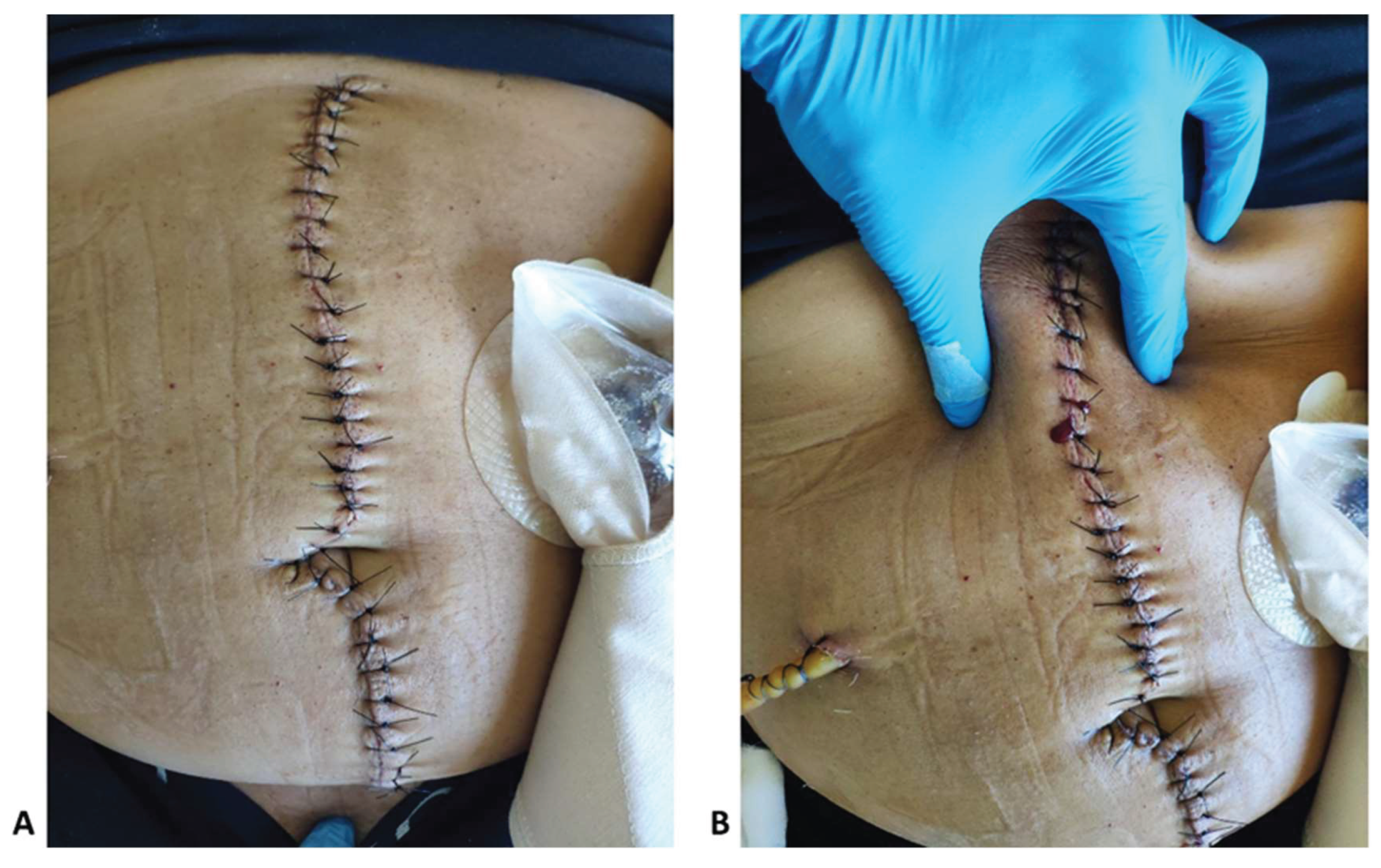 Preprints 159931 g002