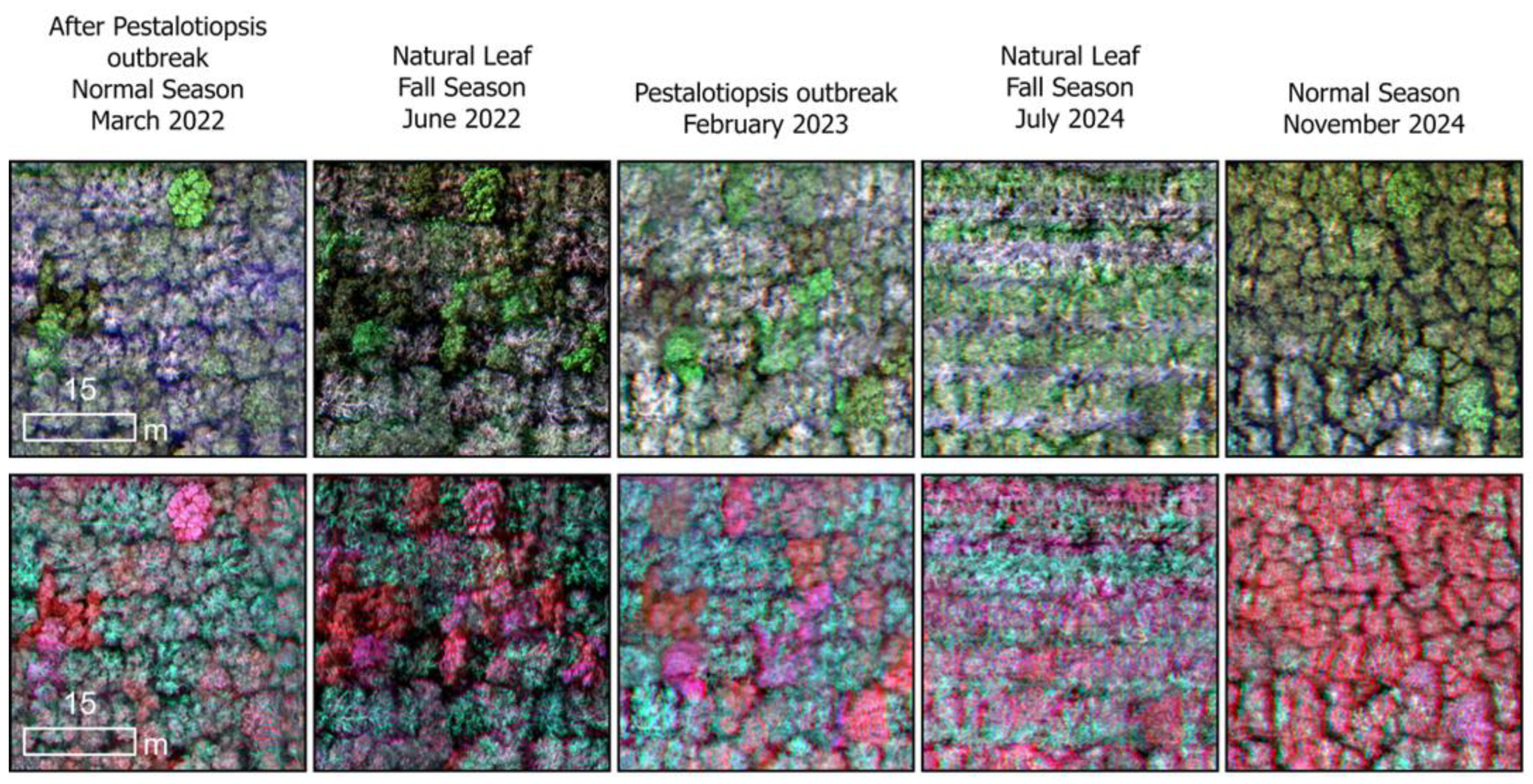 Preprints 152955 g004