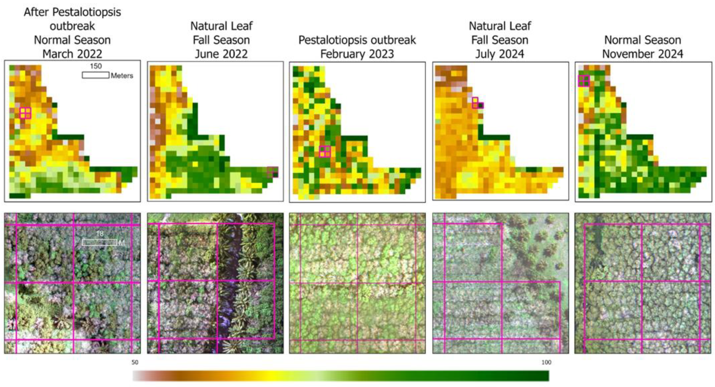 Preprints 152955 g006