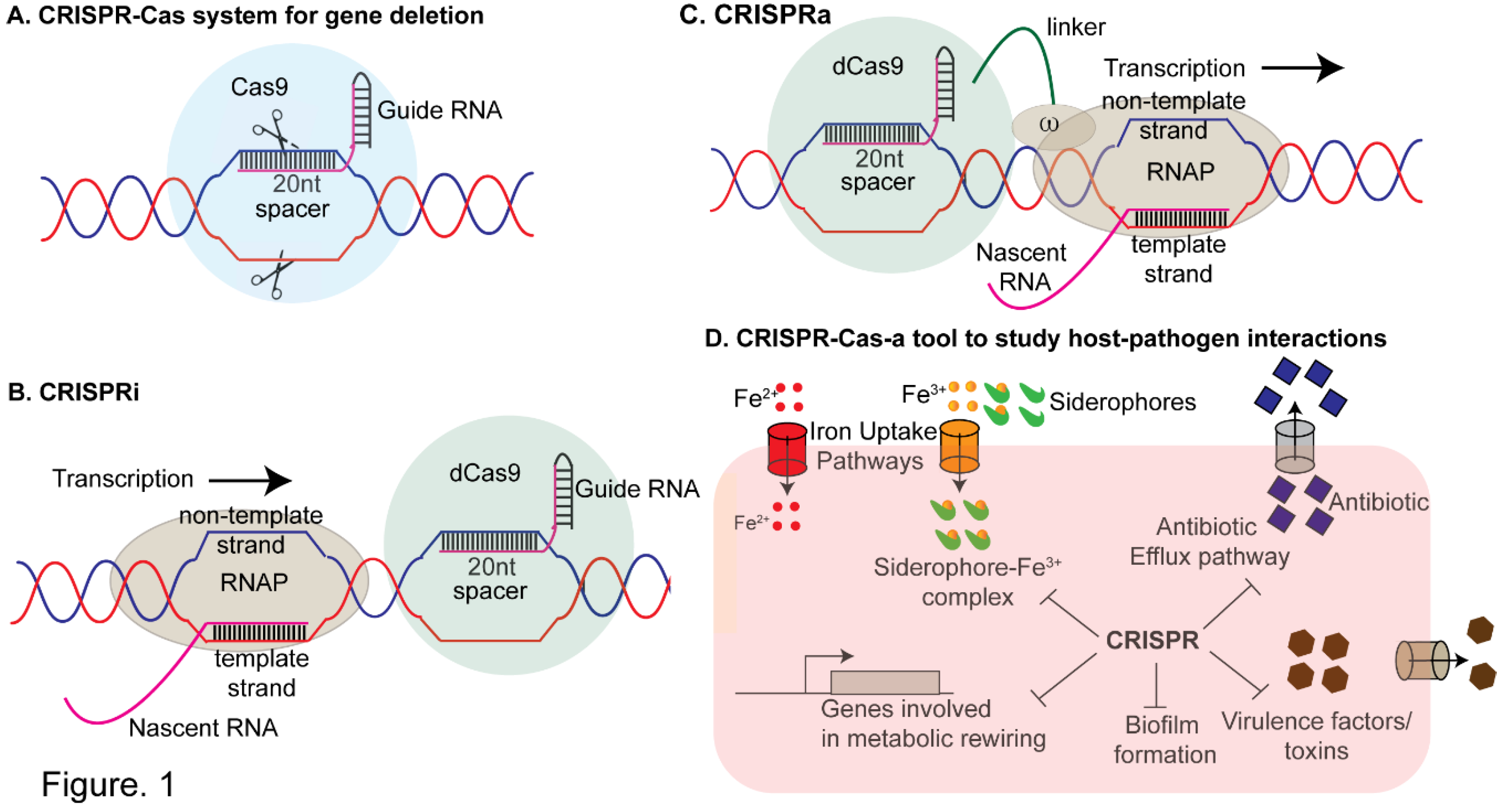 Preprints 143125 g001