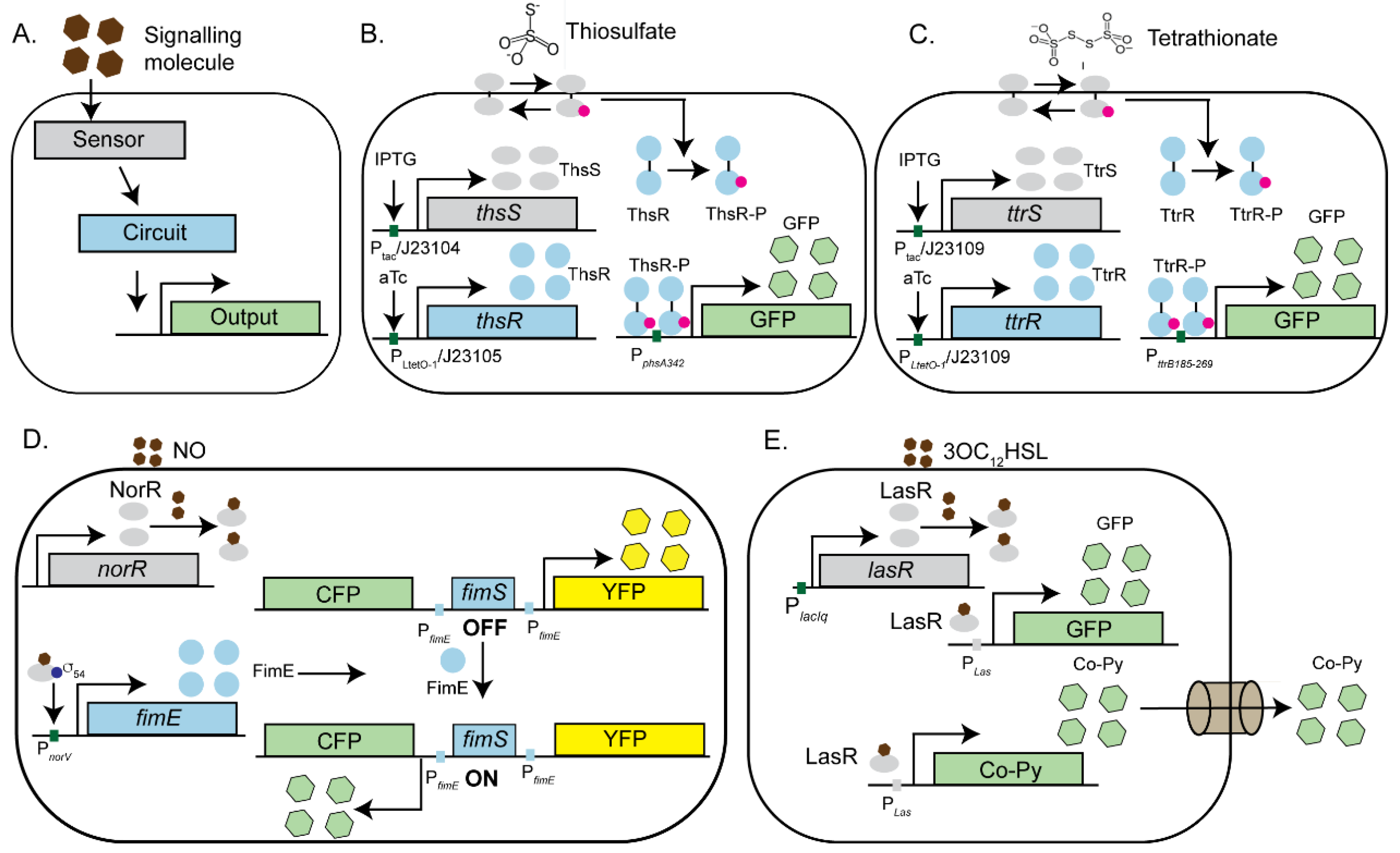 Preprints 143125 g002