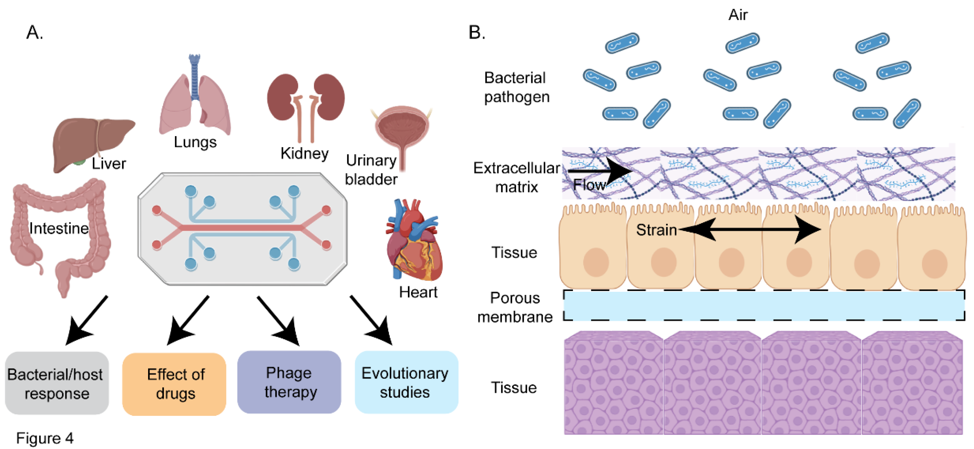 Preprints 143125 g004