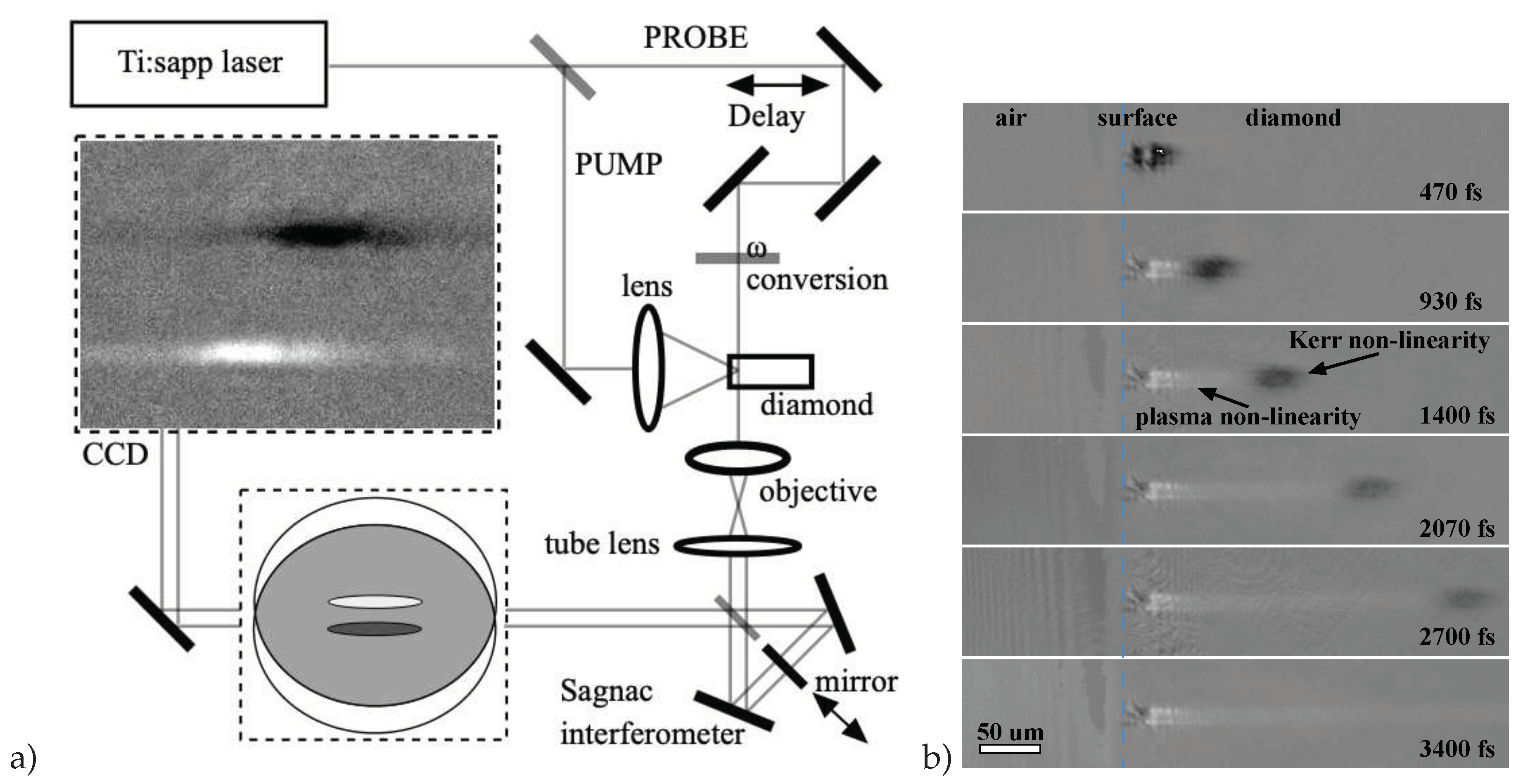 Preprints 81809 g001