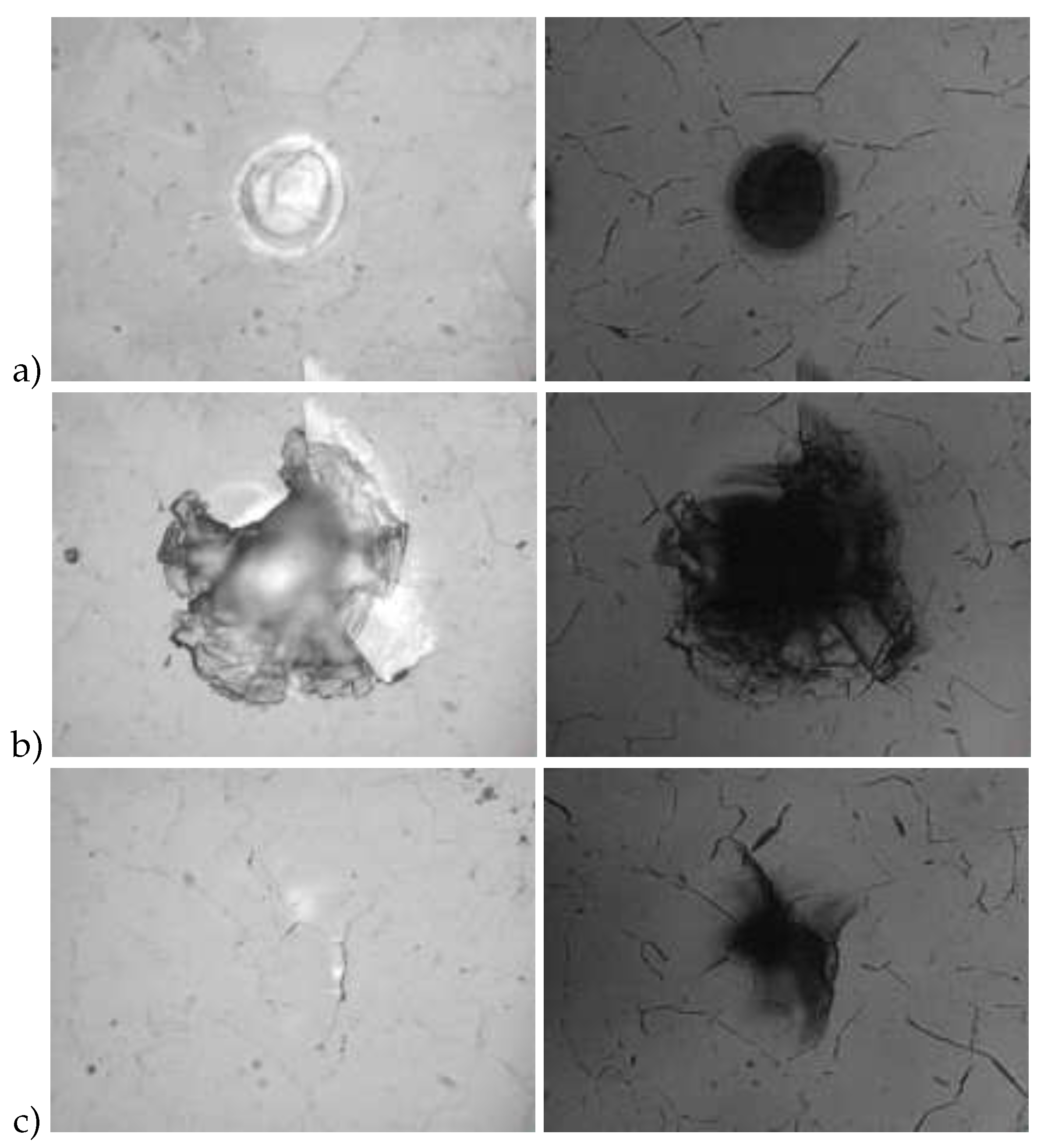 Preprints 81809 g005