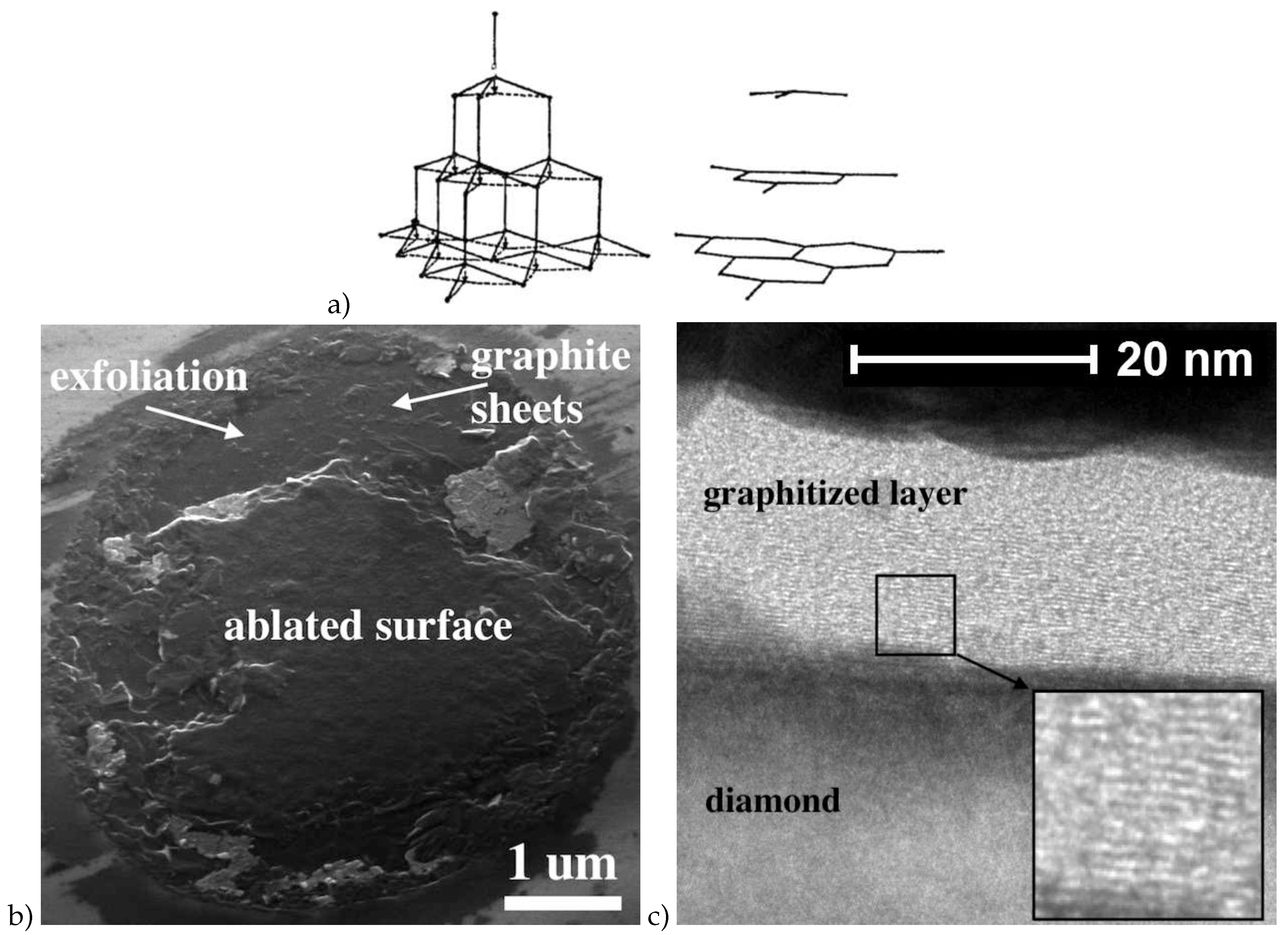 Preprints 81809 g007
