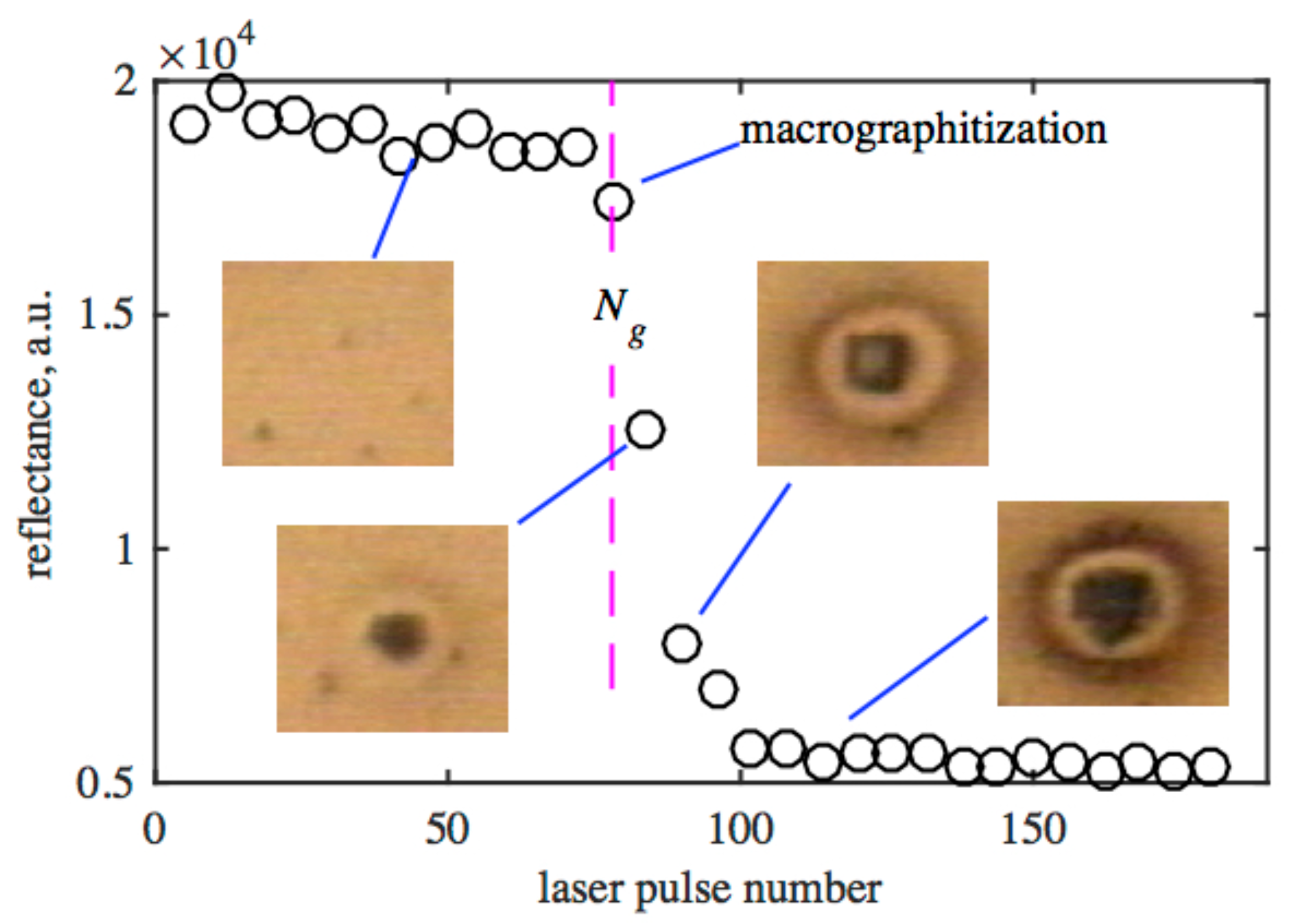 Preprints 81809 g009